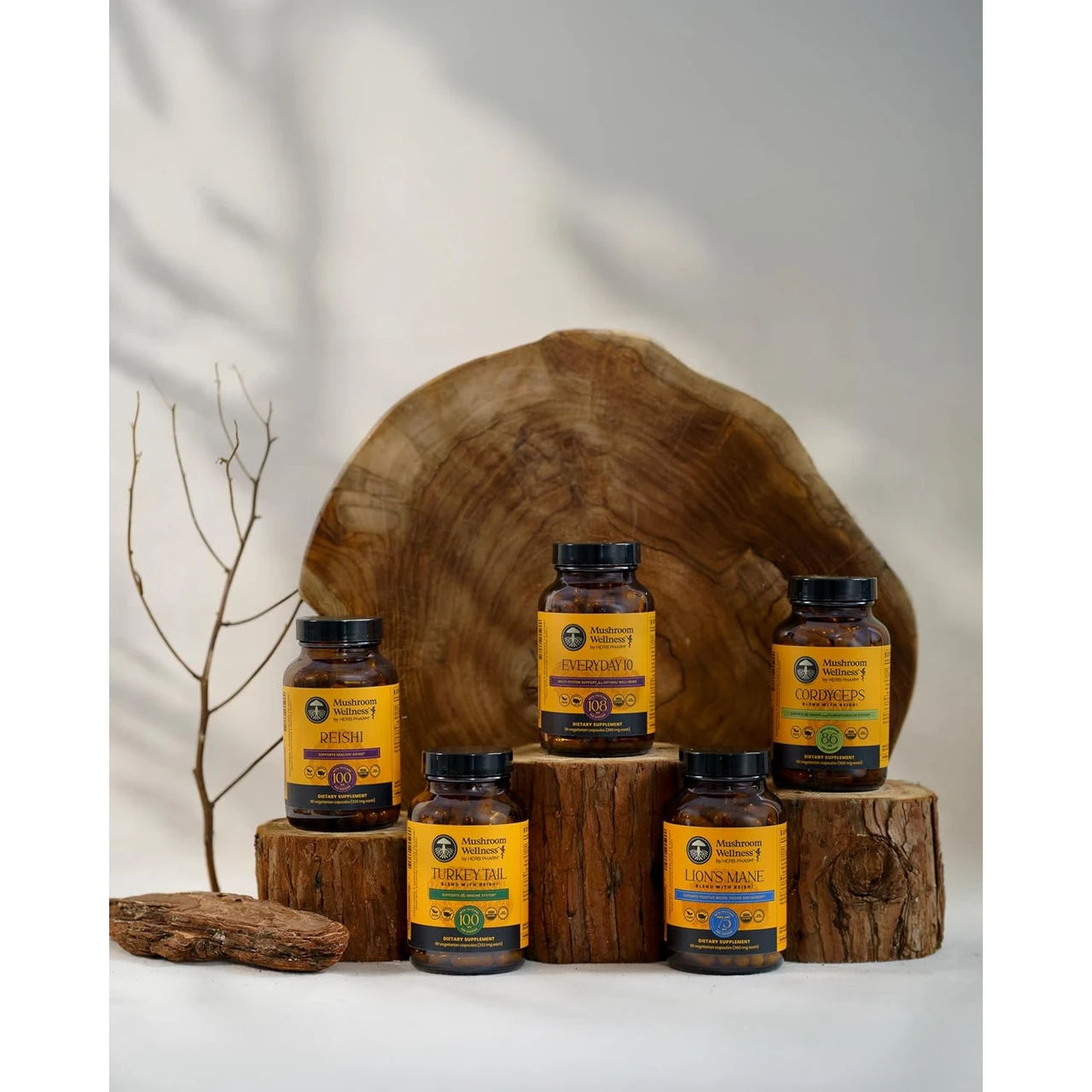 Mushroom Wellness bottles arranged on rustic wooden blocks