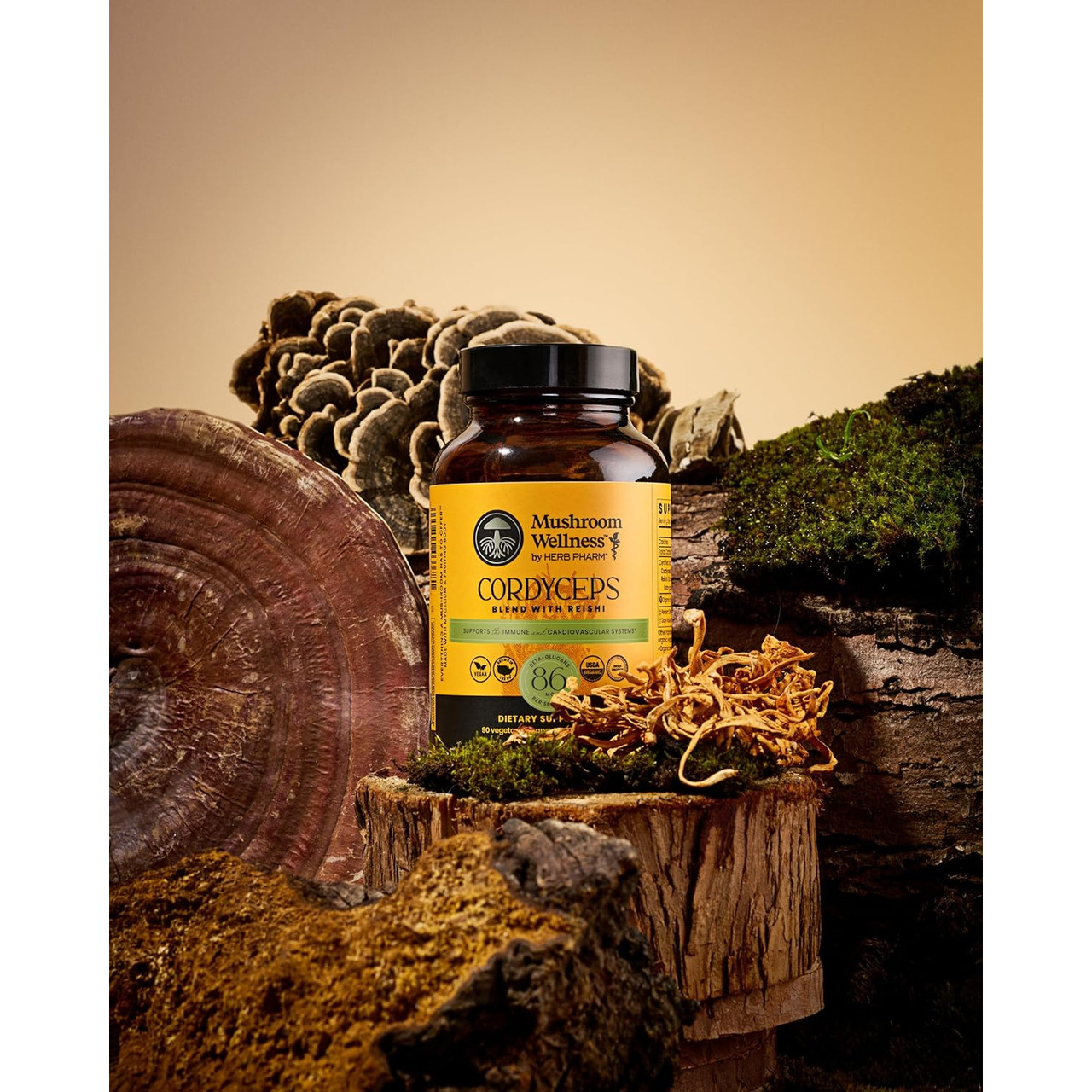 Cordyceps Blend bottle among Reishi mushrooms and moss