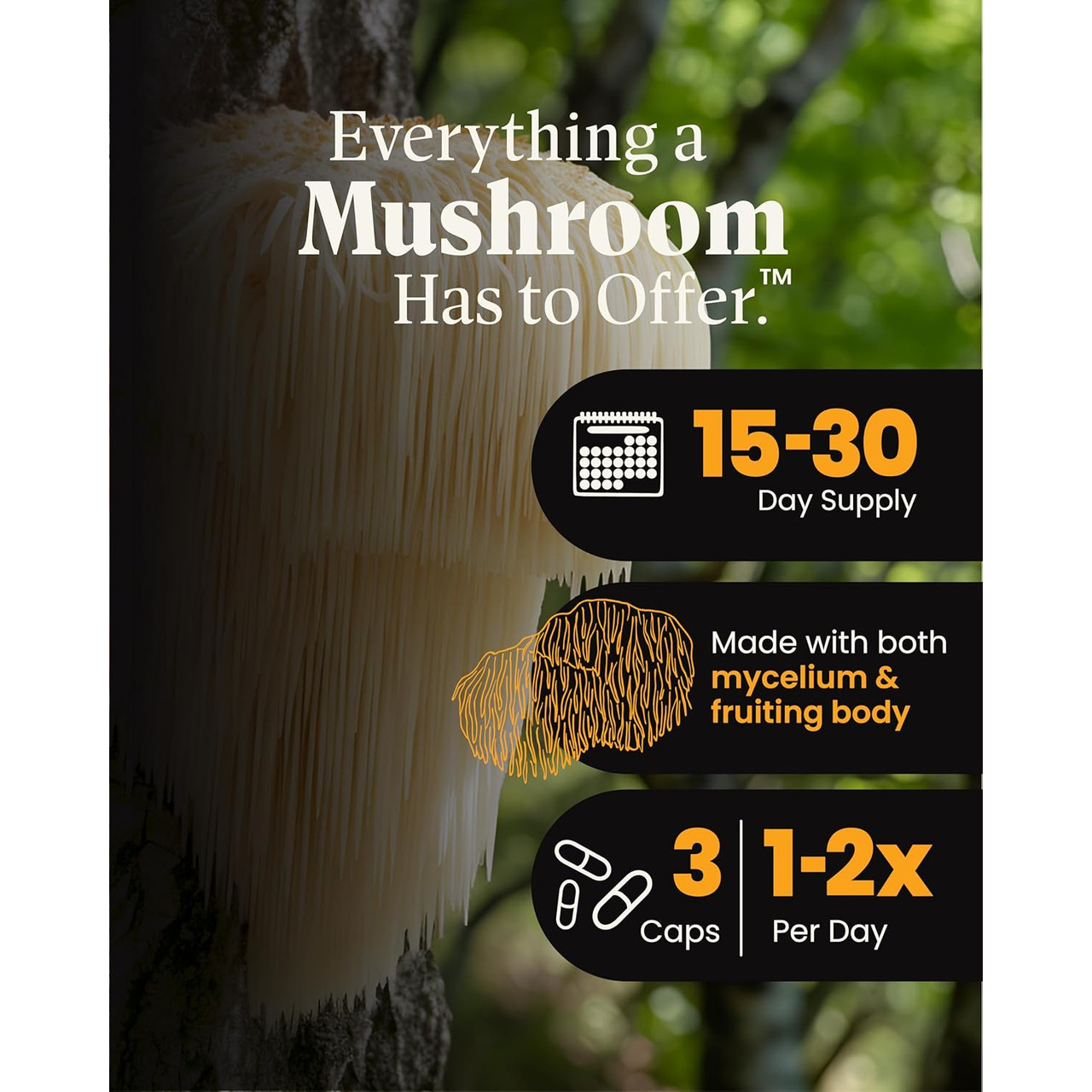 Herb Pharm Lion's Mane Blend with Reishi - 90 capsules