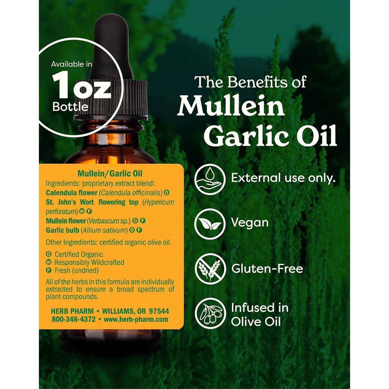 The benefits of Mullein Garlic Oil graphic, 1 oz bottle, external use only, vegan, gluten-free, infused in olive oil