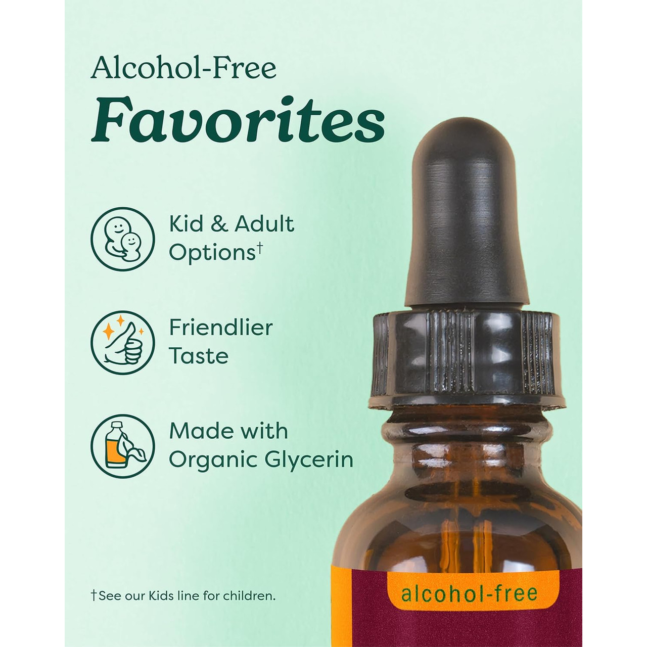 Herb Pharm Kids Echinacea AF - 30 ml