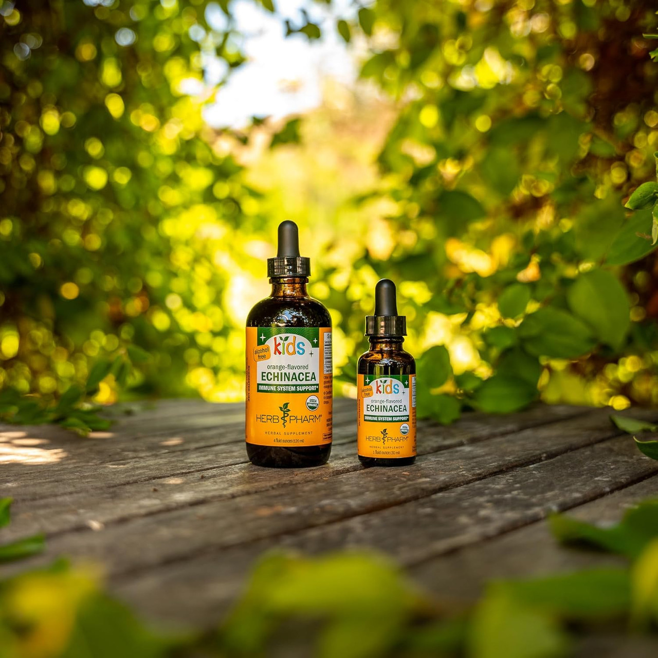 Herb Pharm Kids Echinacea AF - 30 ml