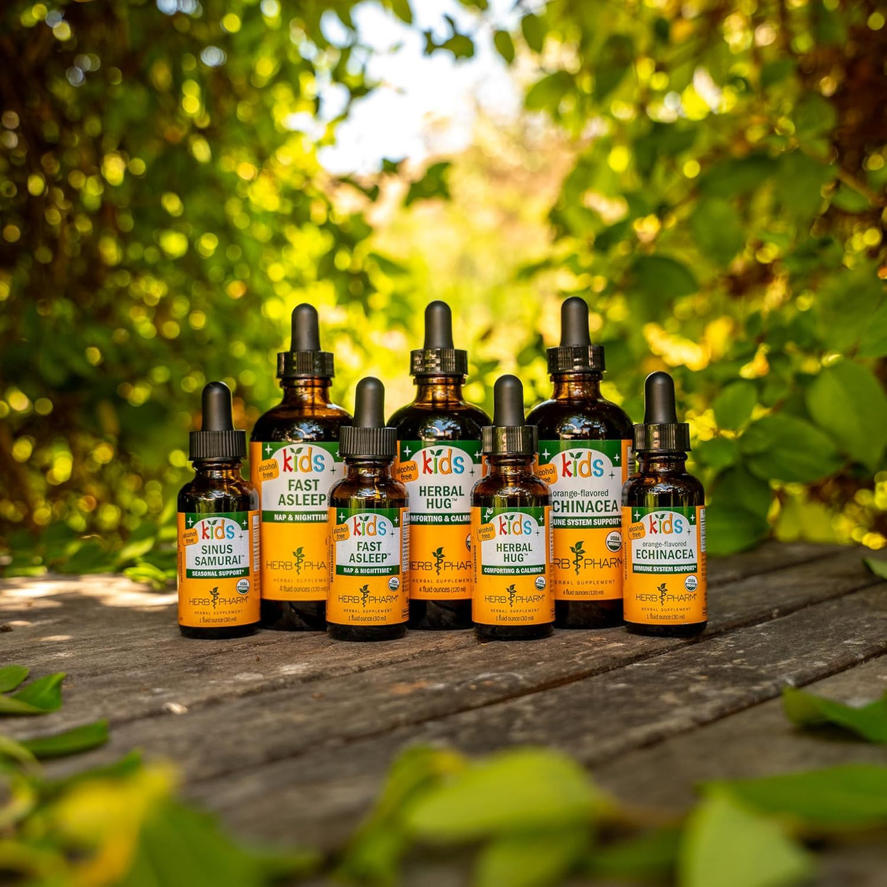 Herb Pharm Kids Echinacea AF - 30 ml