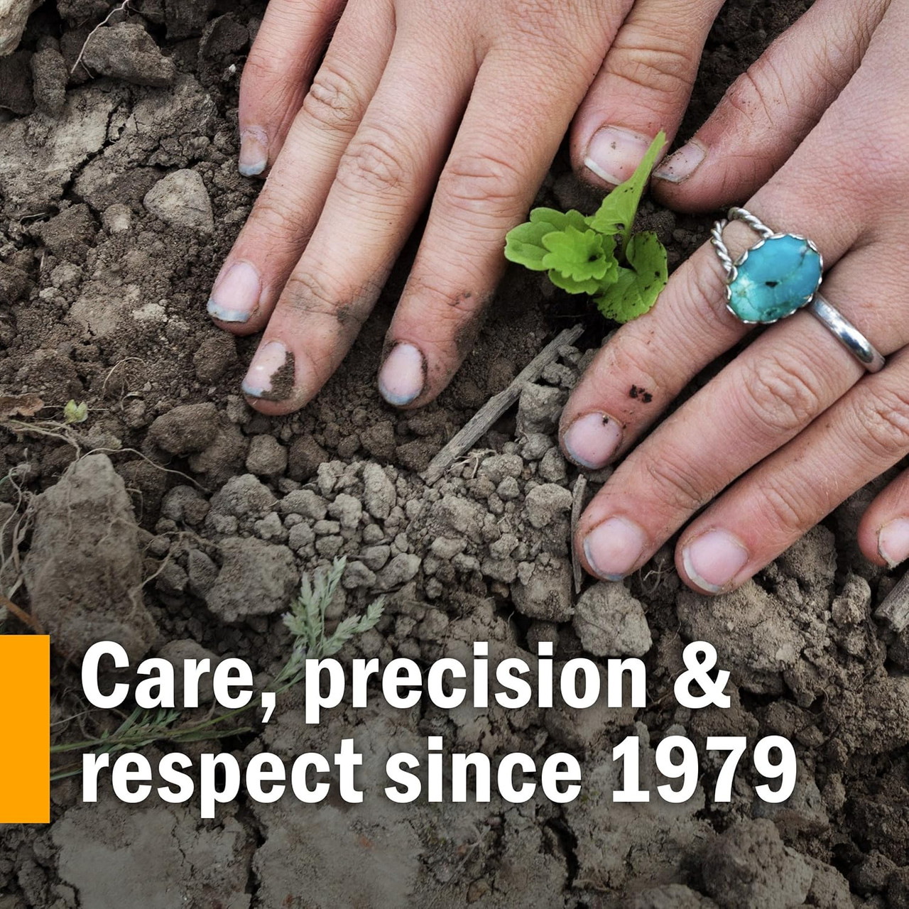 Herb Pharm Yerba Mansa