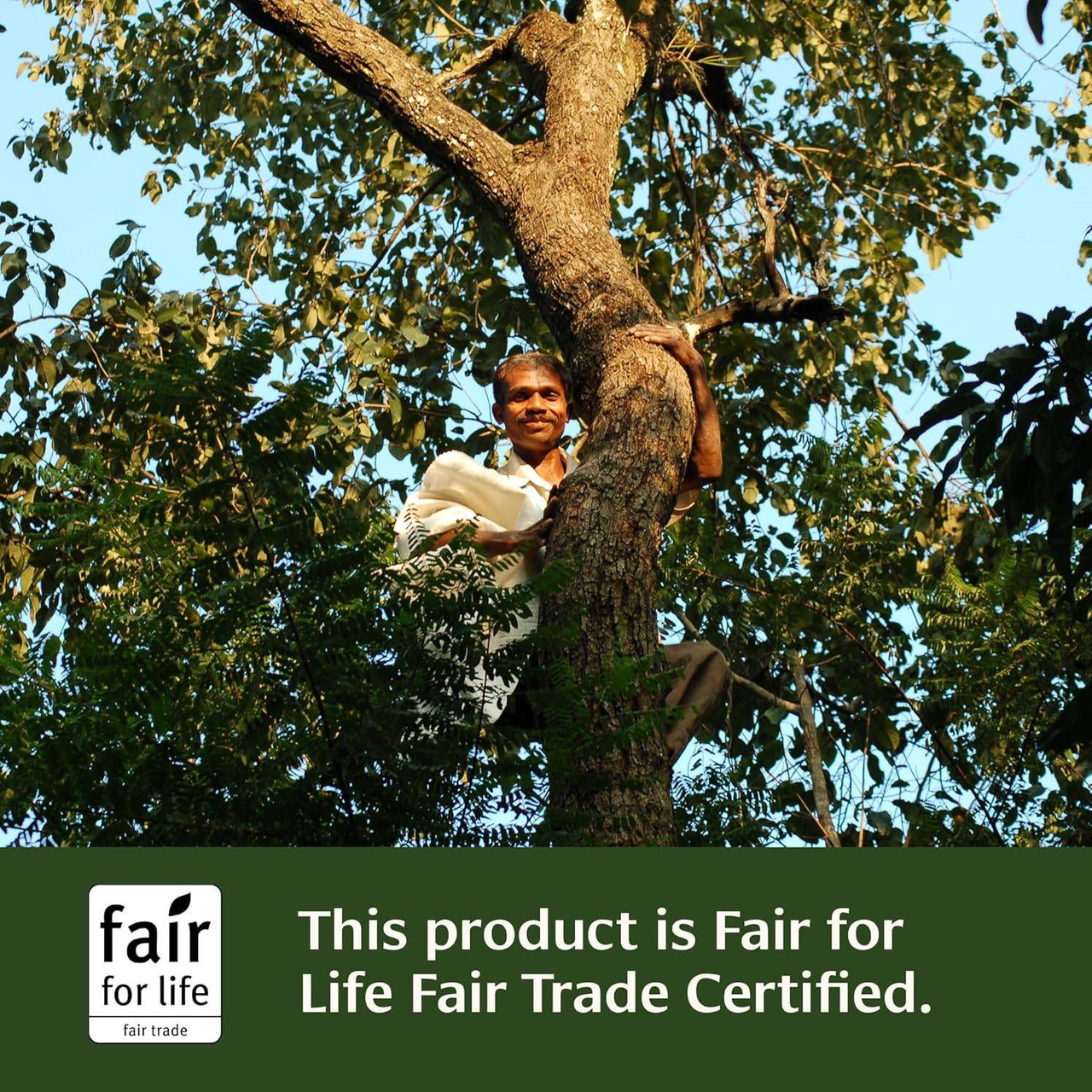 Banyan Botanicals Haritaki Fruit Powder, Organic - 454 Grams