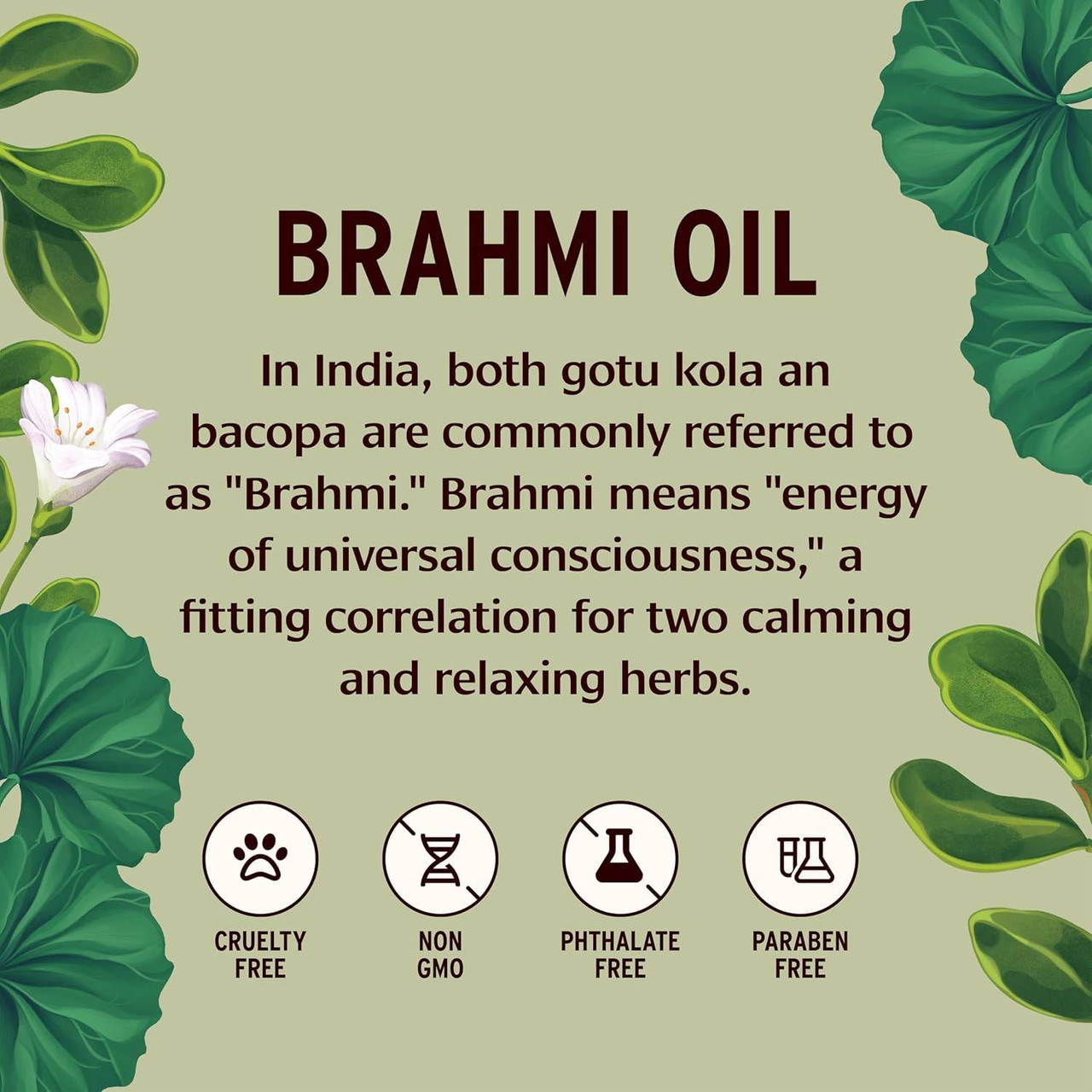 Brahmi Oil name meaning graphic with cruelty-free and free-from icons