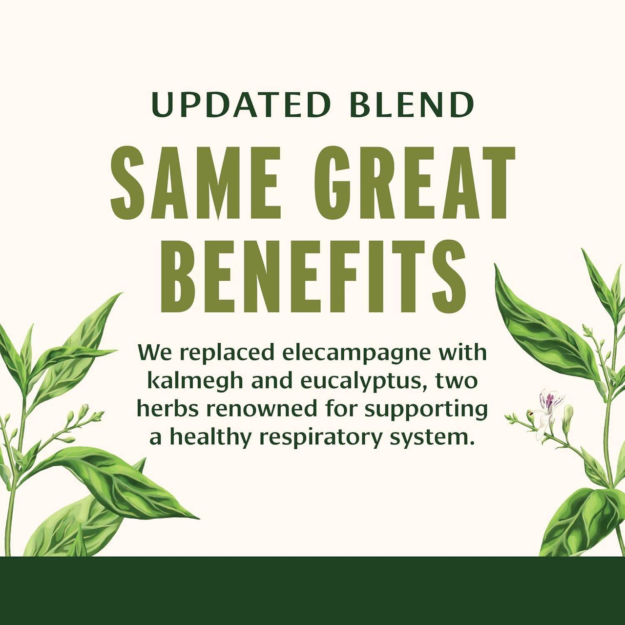 Updated blend same great benefits graphic, elecampane replaced with kalmegh