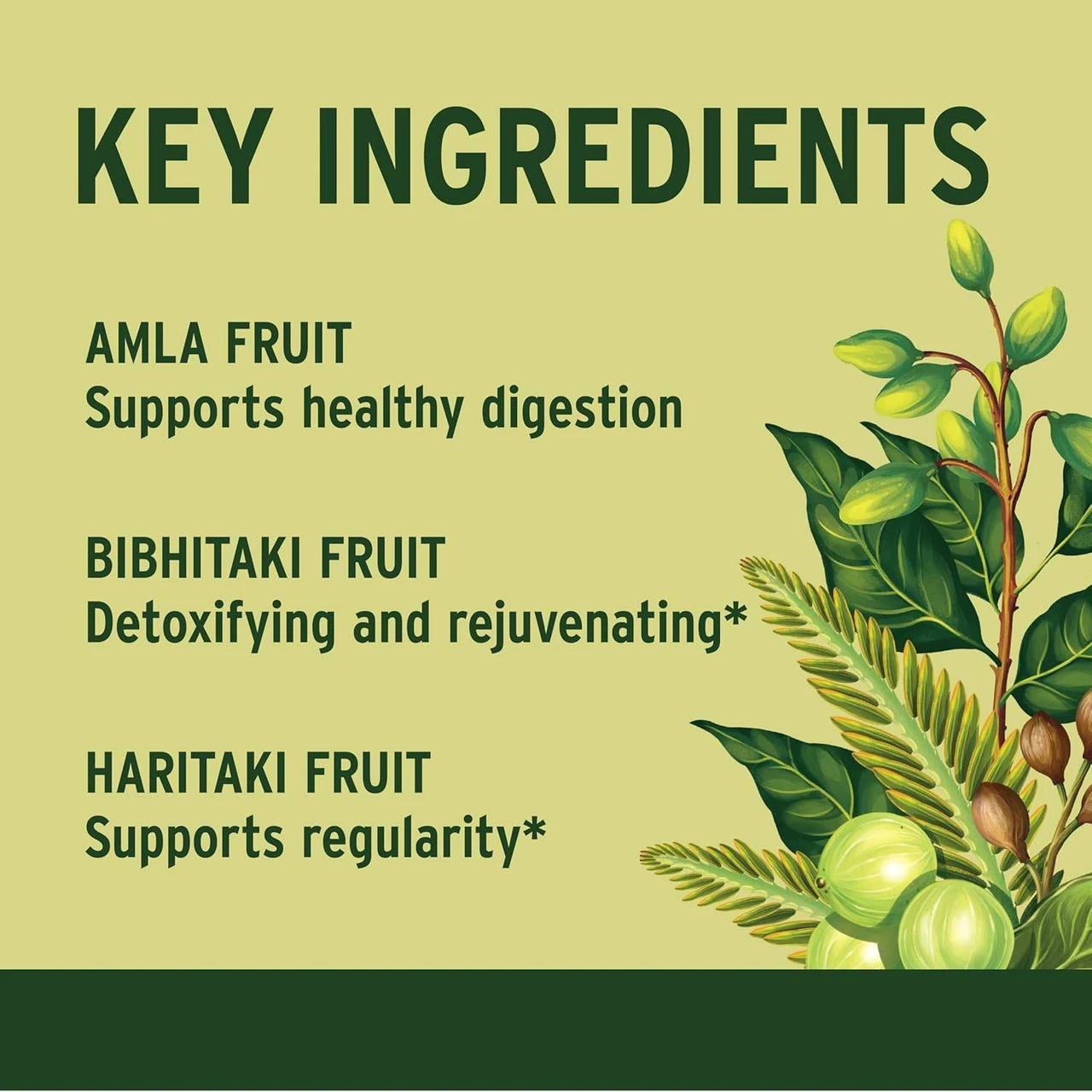 Key ingredients graphic, amla, bibhitaki and haritaki fruit