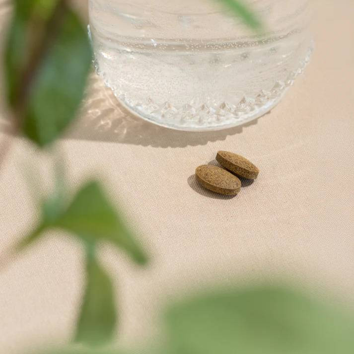 Banyan Botanicals Healthy Pitta (Organic) - 90 Tablets