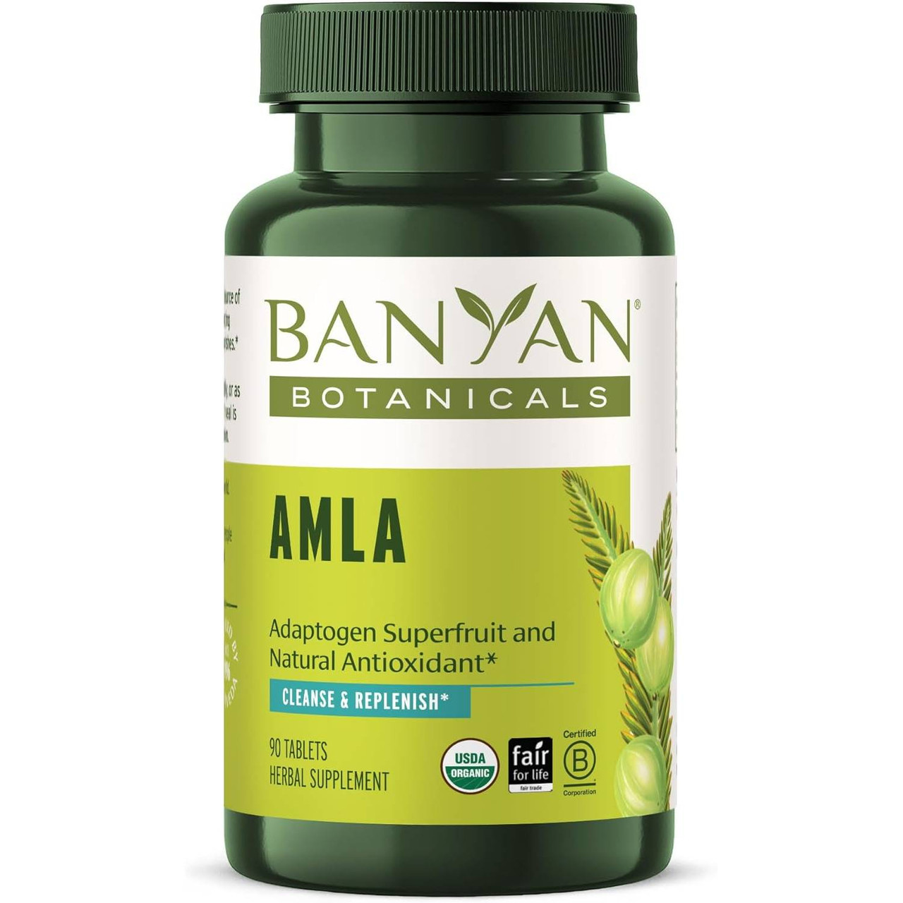 Banyan Botanicals Amla - 90 Tablets