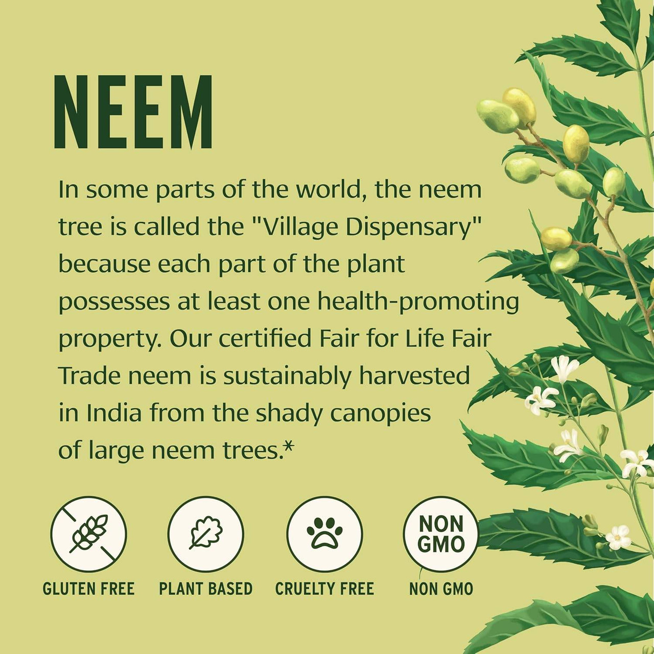 Neem tree Village Dispensary graphic with dietary and ethical icons