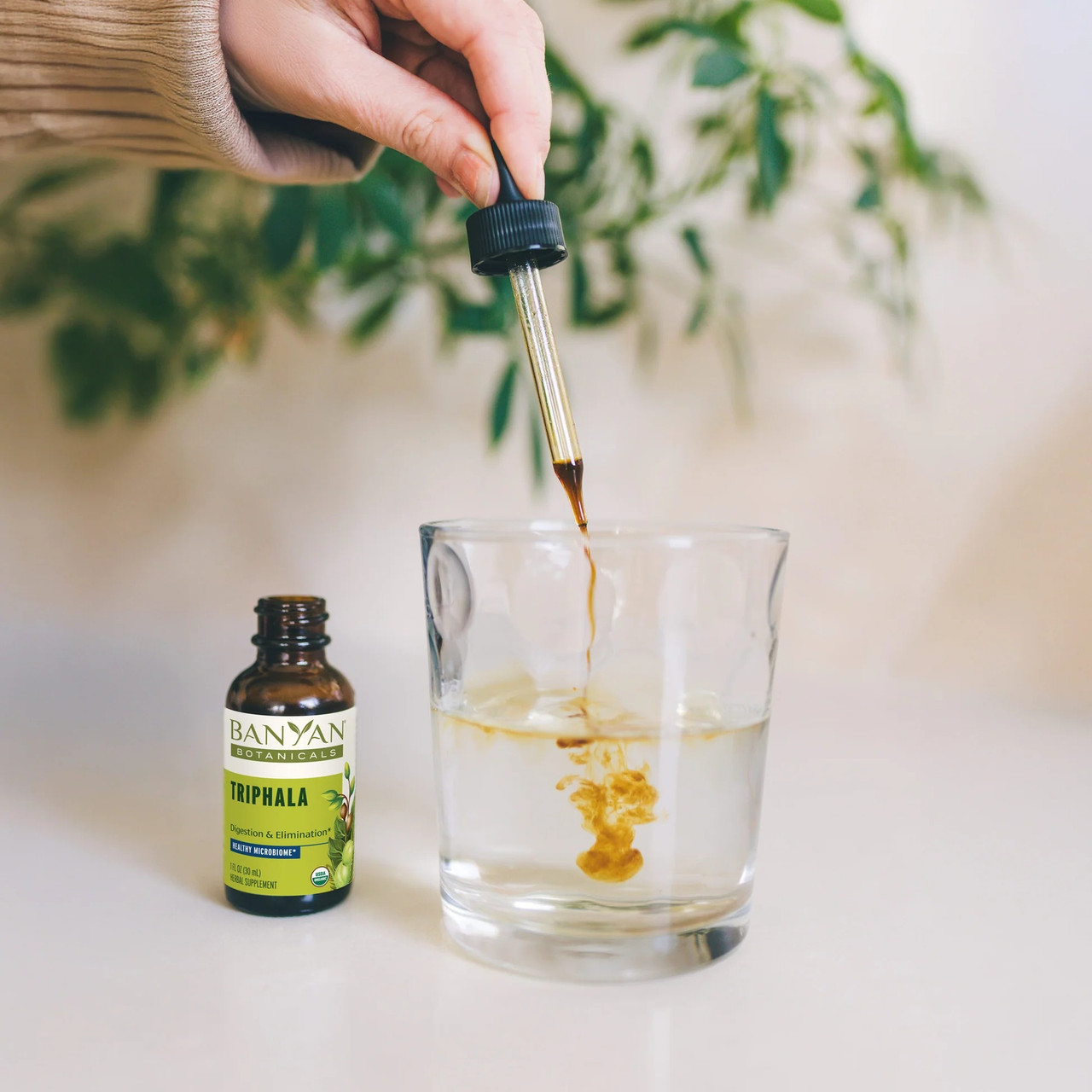 Hand adding Triphala extract drops to a glass of water