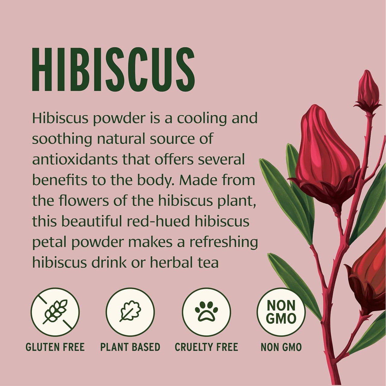 Banyan Botanicals Hibiscus Powder Organic - 454 Grams
