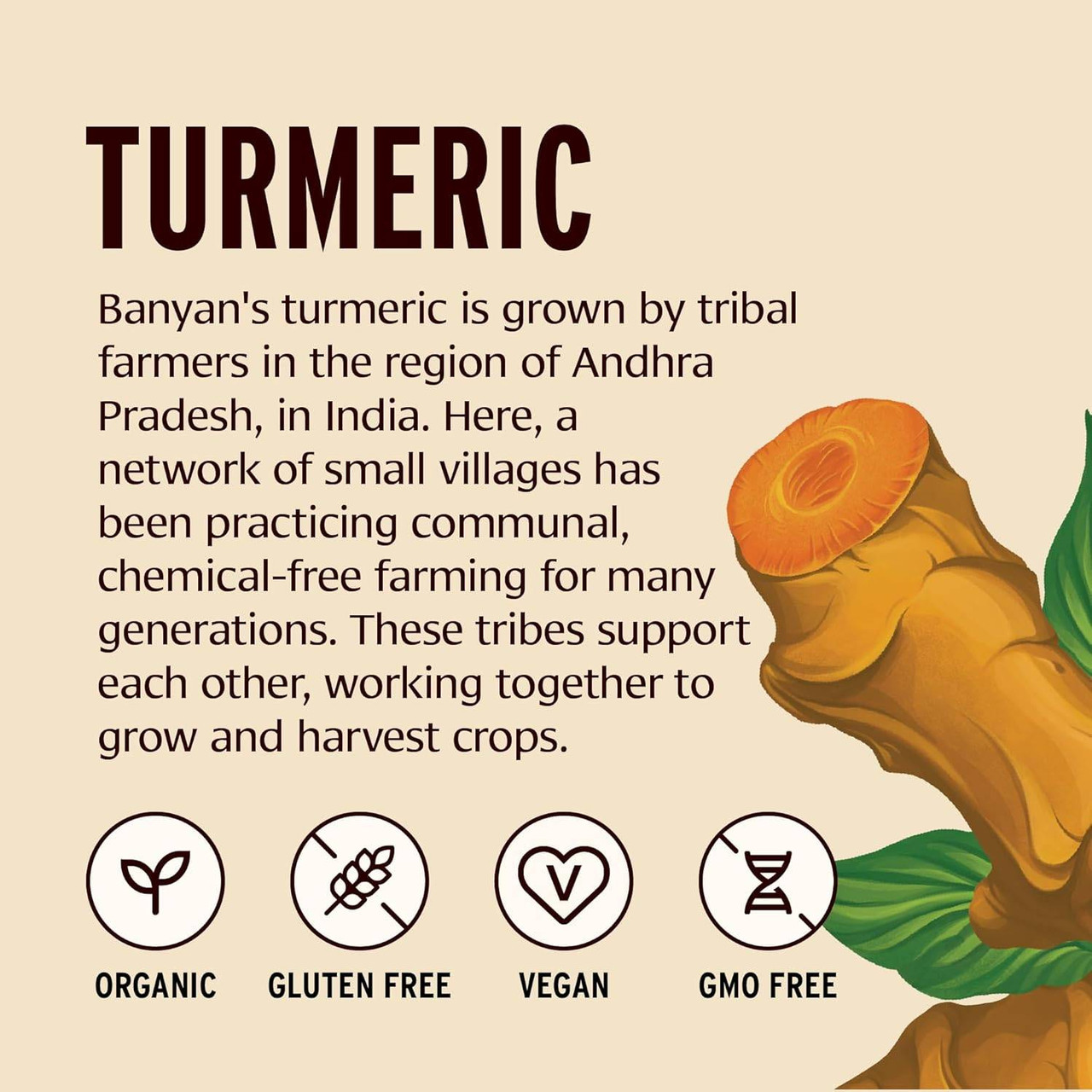 Banyan Botanicals Turmeric Root Powder, Organic - 454 Grams