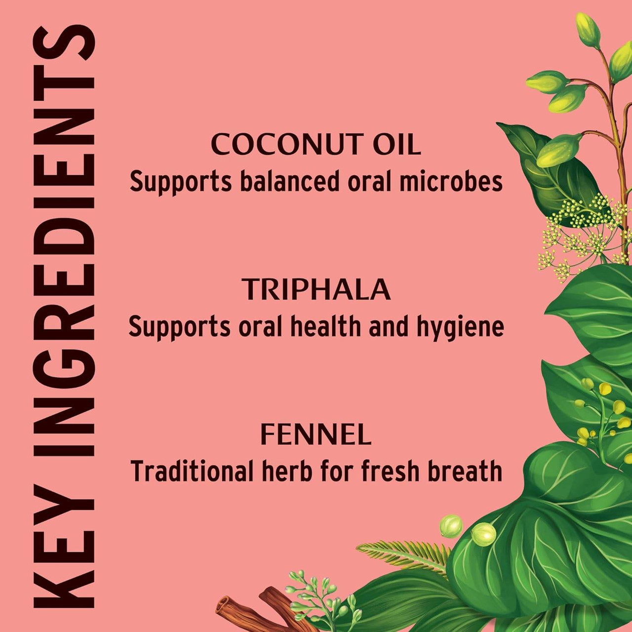 Banyan Botanicals Daily Swish, Cinnamon - 236 Milliliters