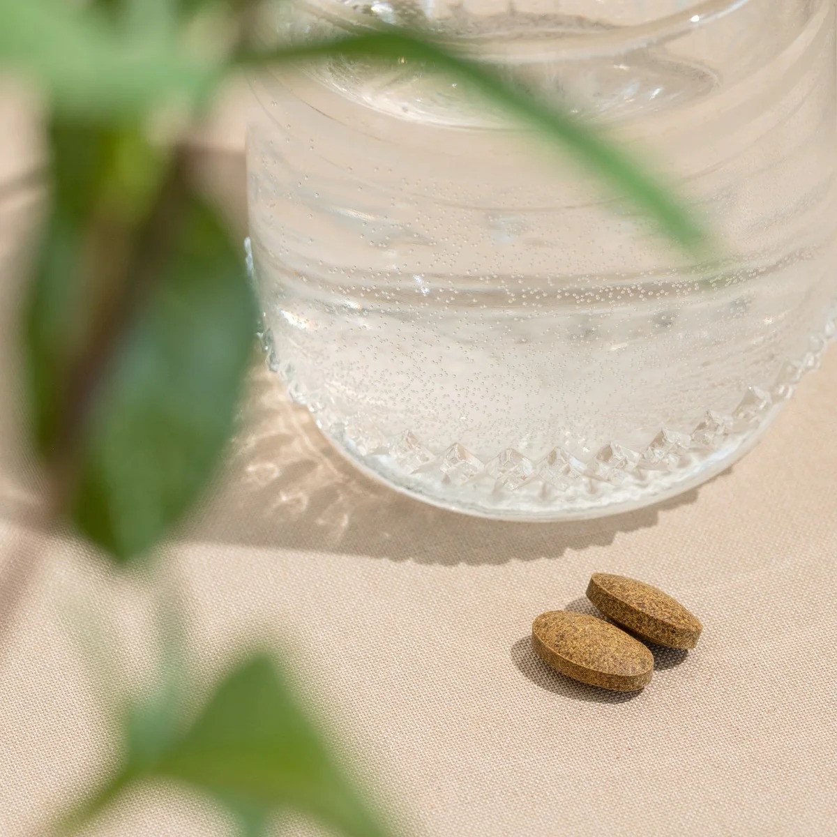 Banyan Botanicals Joint Support Tablets - 90 Tablets