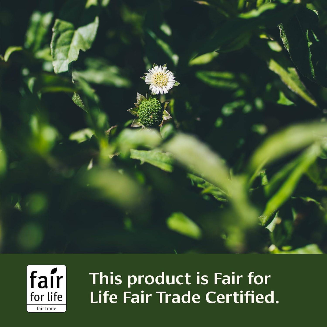 Green plants, this product is Fair for Life Fair Trade Certified graphic