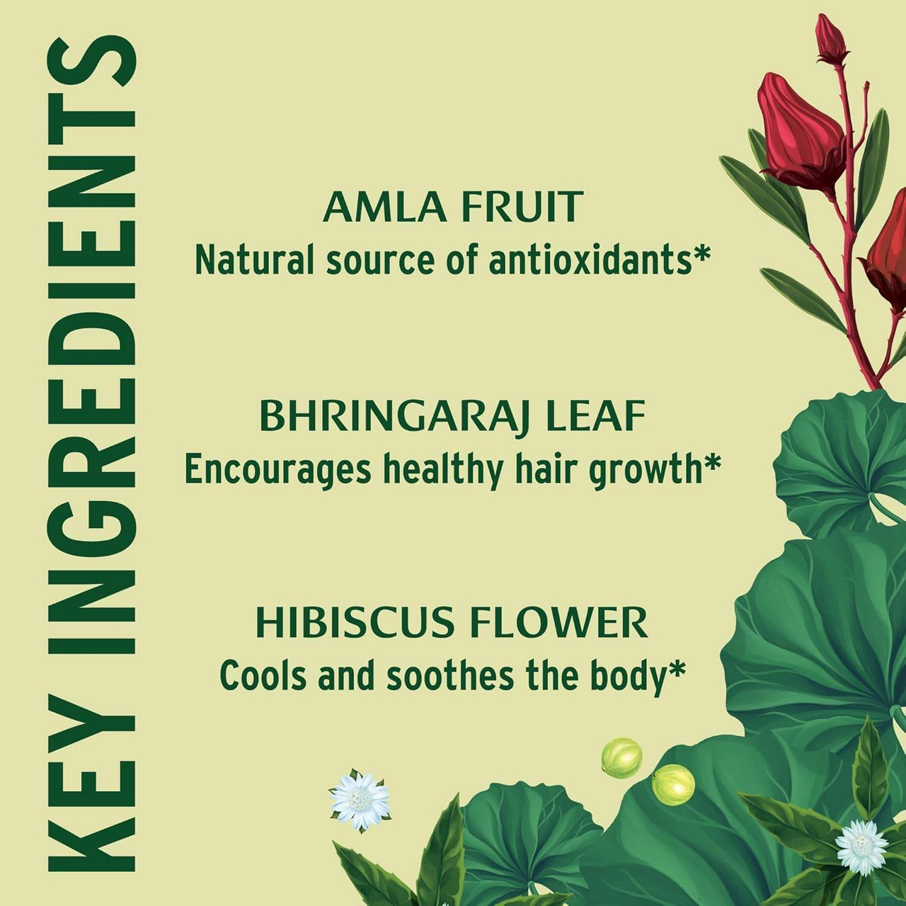 Key ingredients graphic: amla fruit, bhringaraj leaf and hibiscus flower