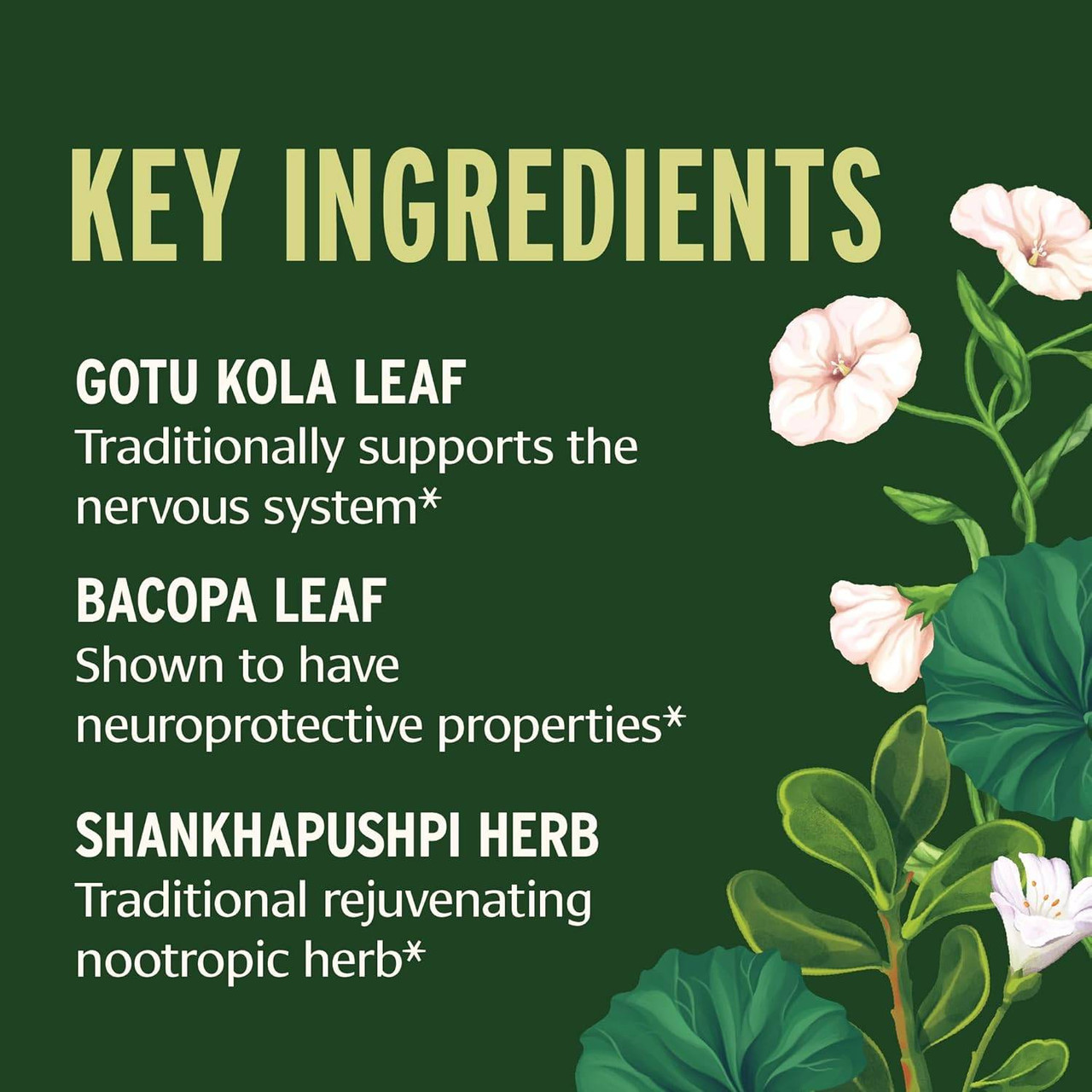 Banyan Botanicals Focus Liquid Extract, Organic - 30 Milliliters