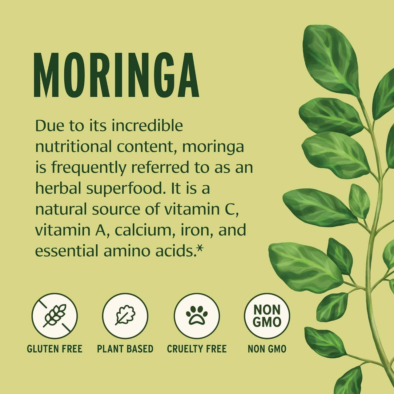 Moringa nutritional superfood graphic with gluten-free plant-based icons