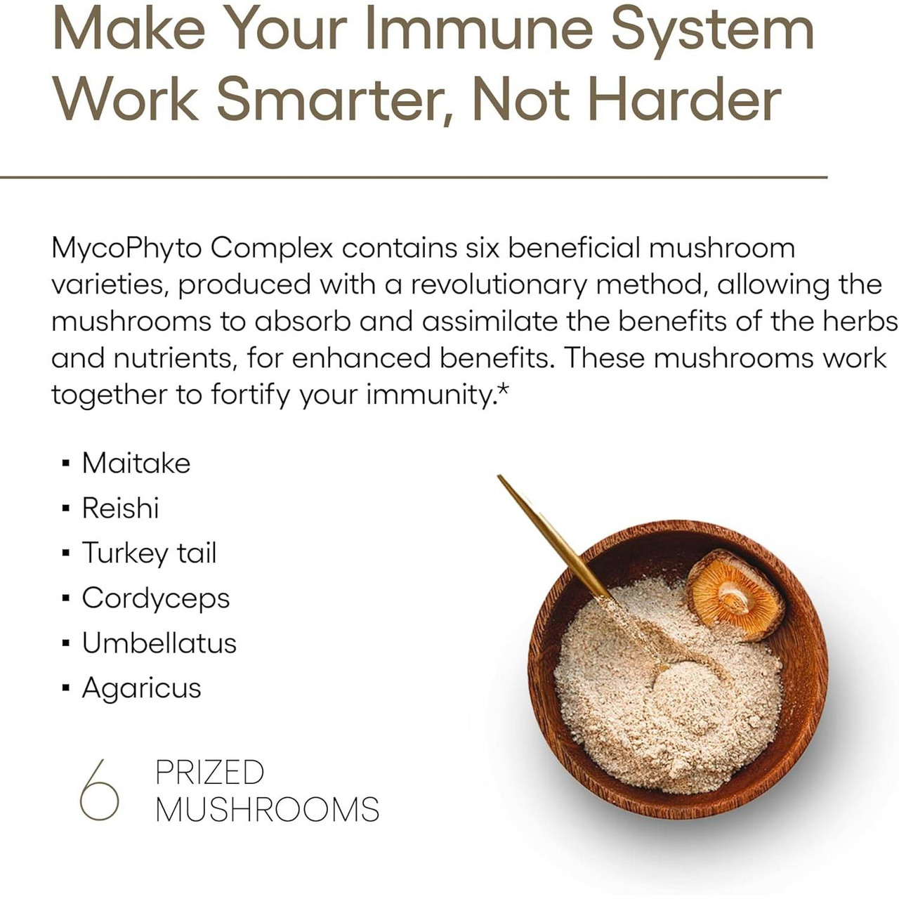 Six mushrooms in MycoPhyto blend listed beside powder bowl graphic