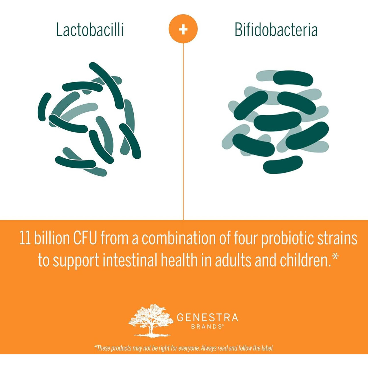 Lactobacilli and Bifidobacteria strains diagram, 11 billion CFU graphic