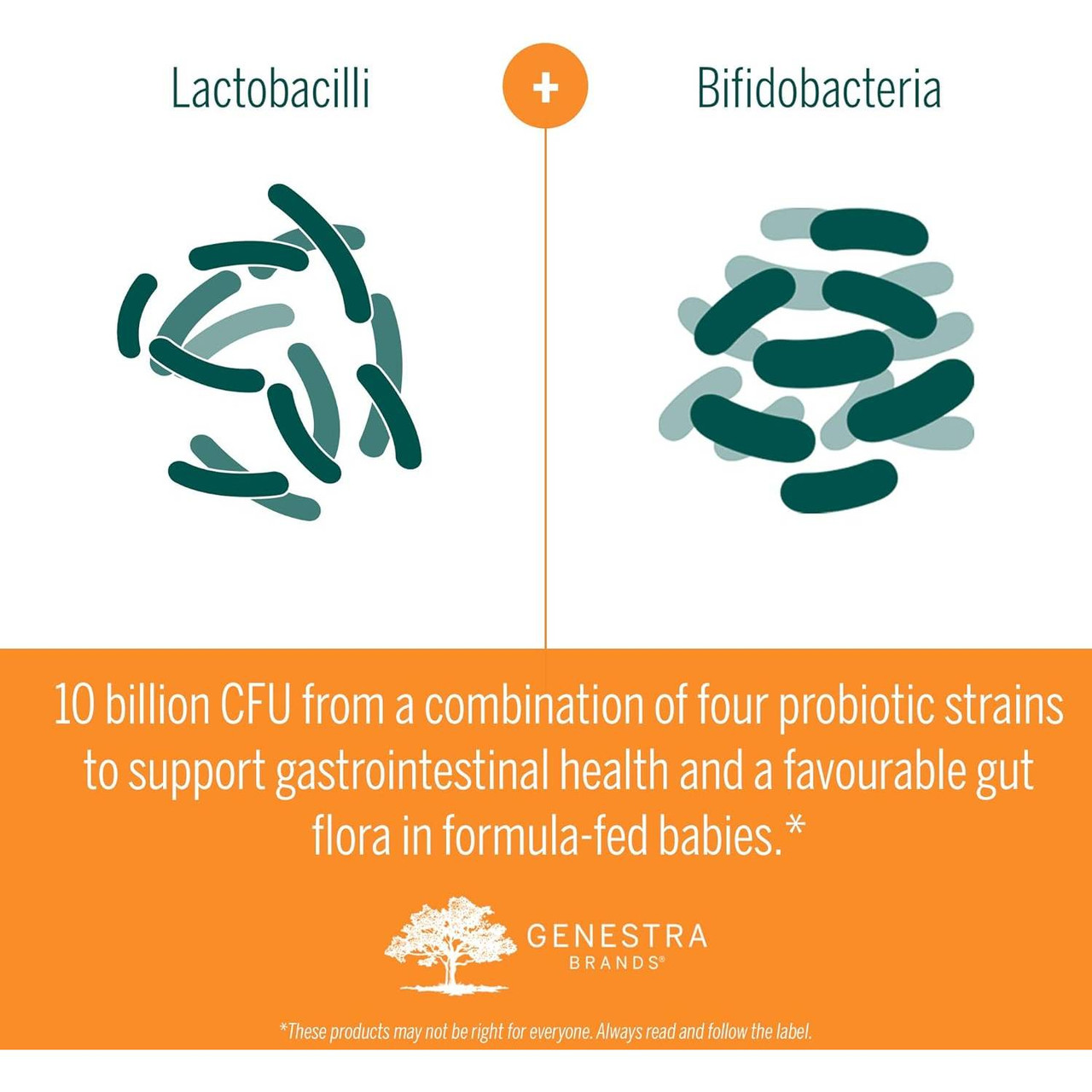 Genestra Brands HMF Baby F - 66 Grams