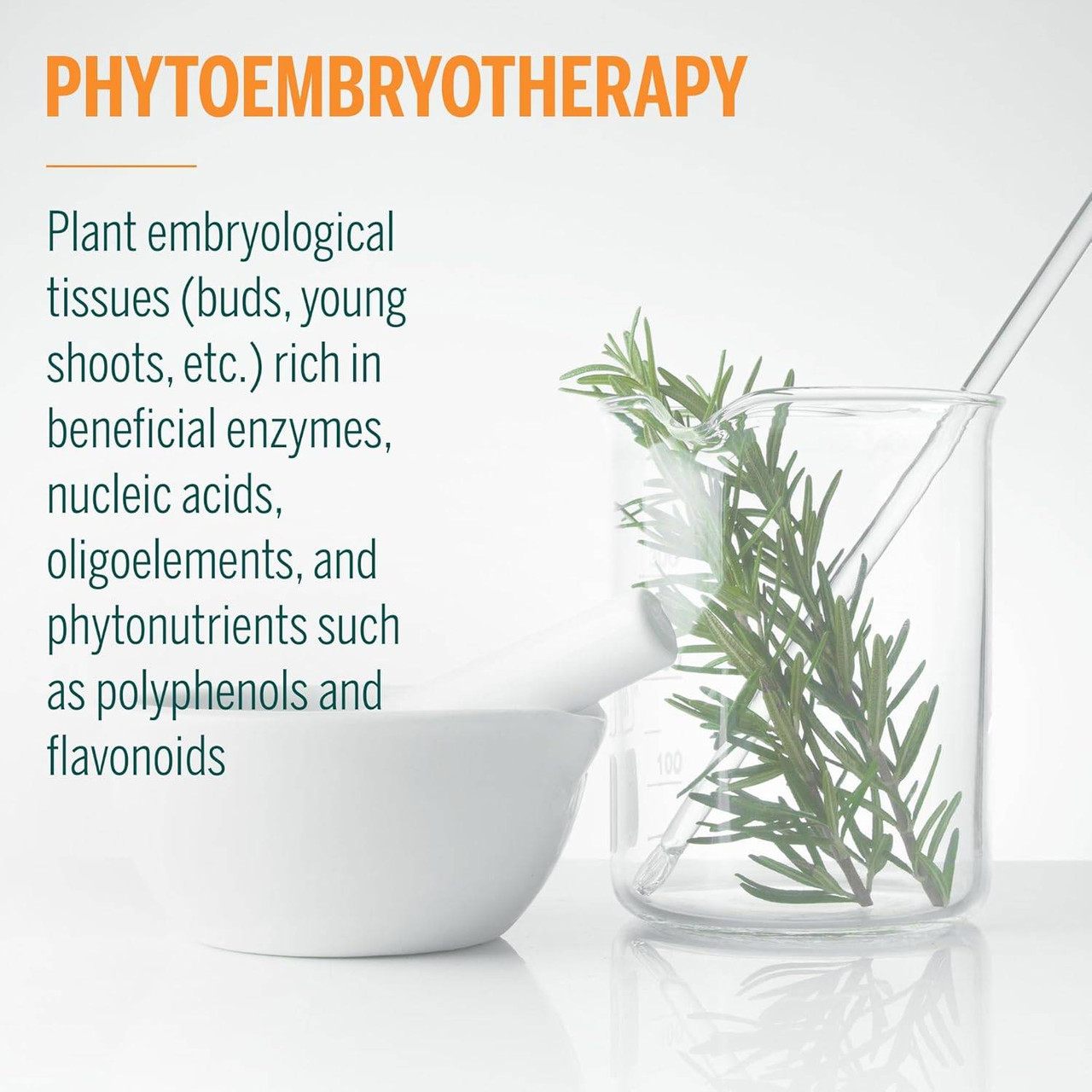 Genestra Brands Acn-gen - 15 Milliliters