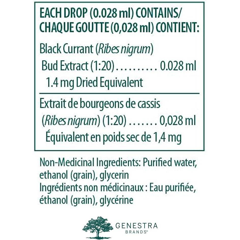 Genestra Brands Black Currant Bud - 15 Milliliters