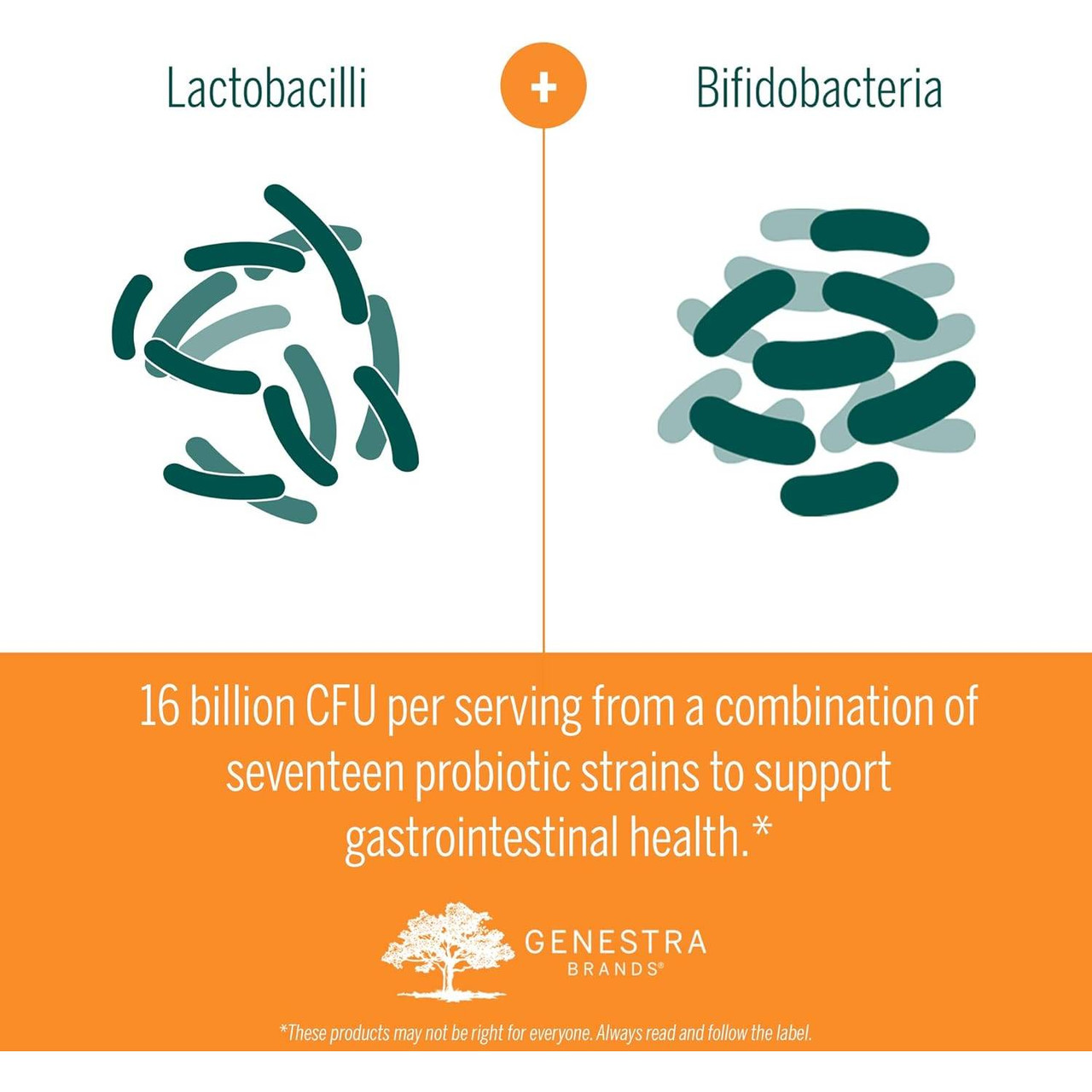 Lactobacilli and Bifidobacteria strains diagram, 16 billion CFU graphic