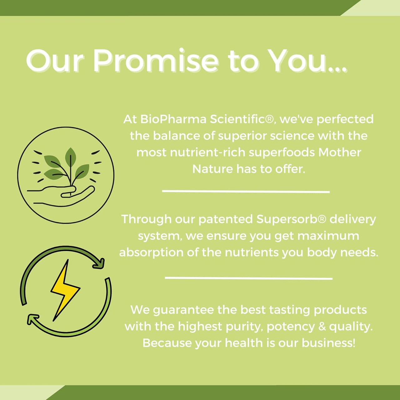 Our promise to you graphic on green