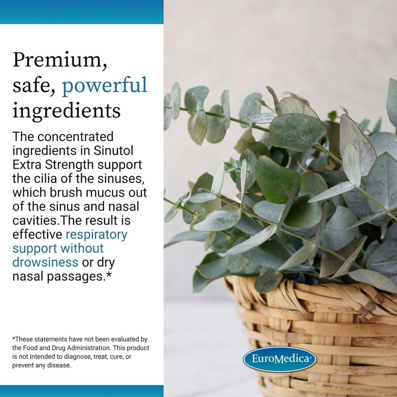 Potted plant in a basket, premium, safe, powerful ingredients graphic