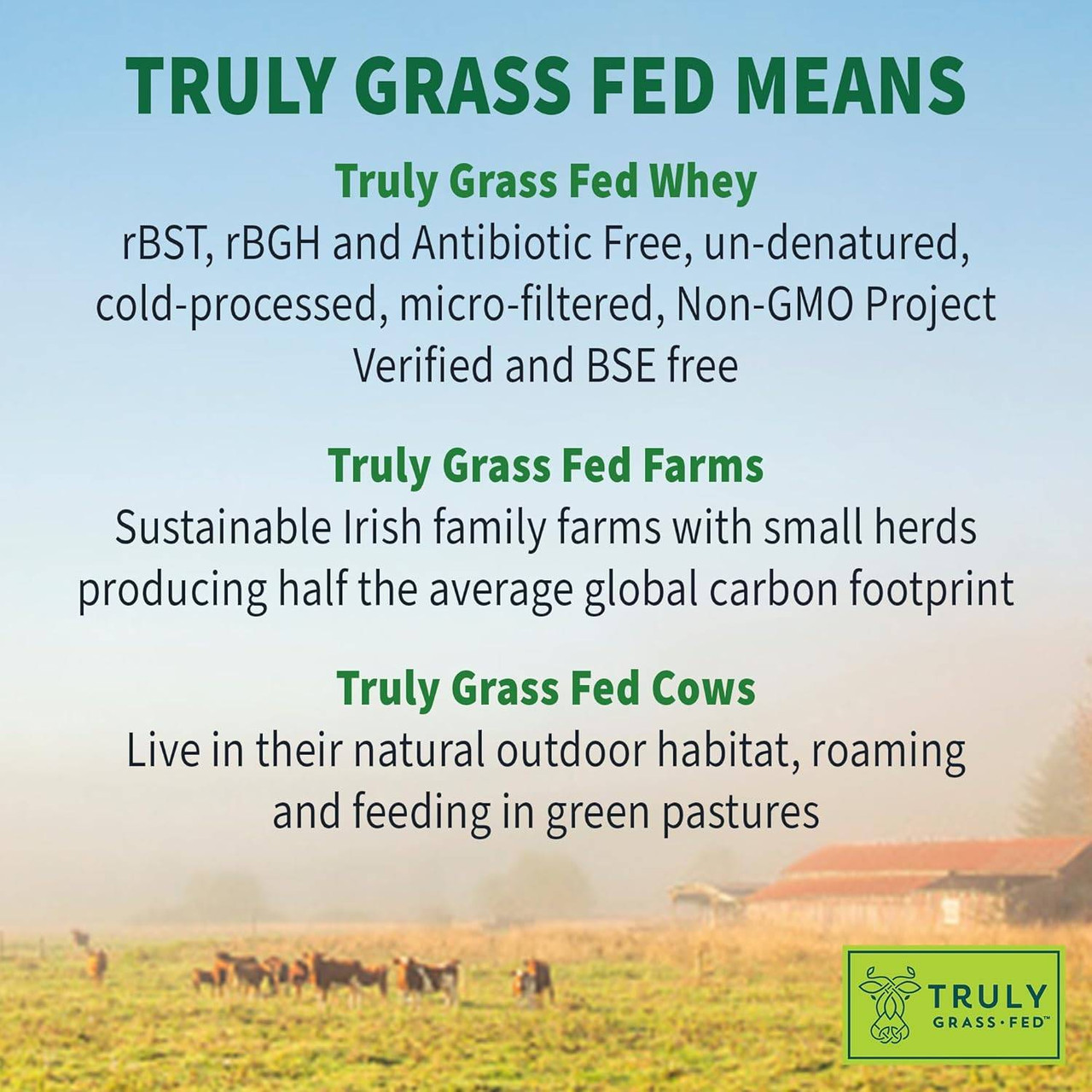 Cows grazing in a pasture, what truly grass fed means graphic