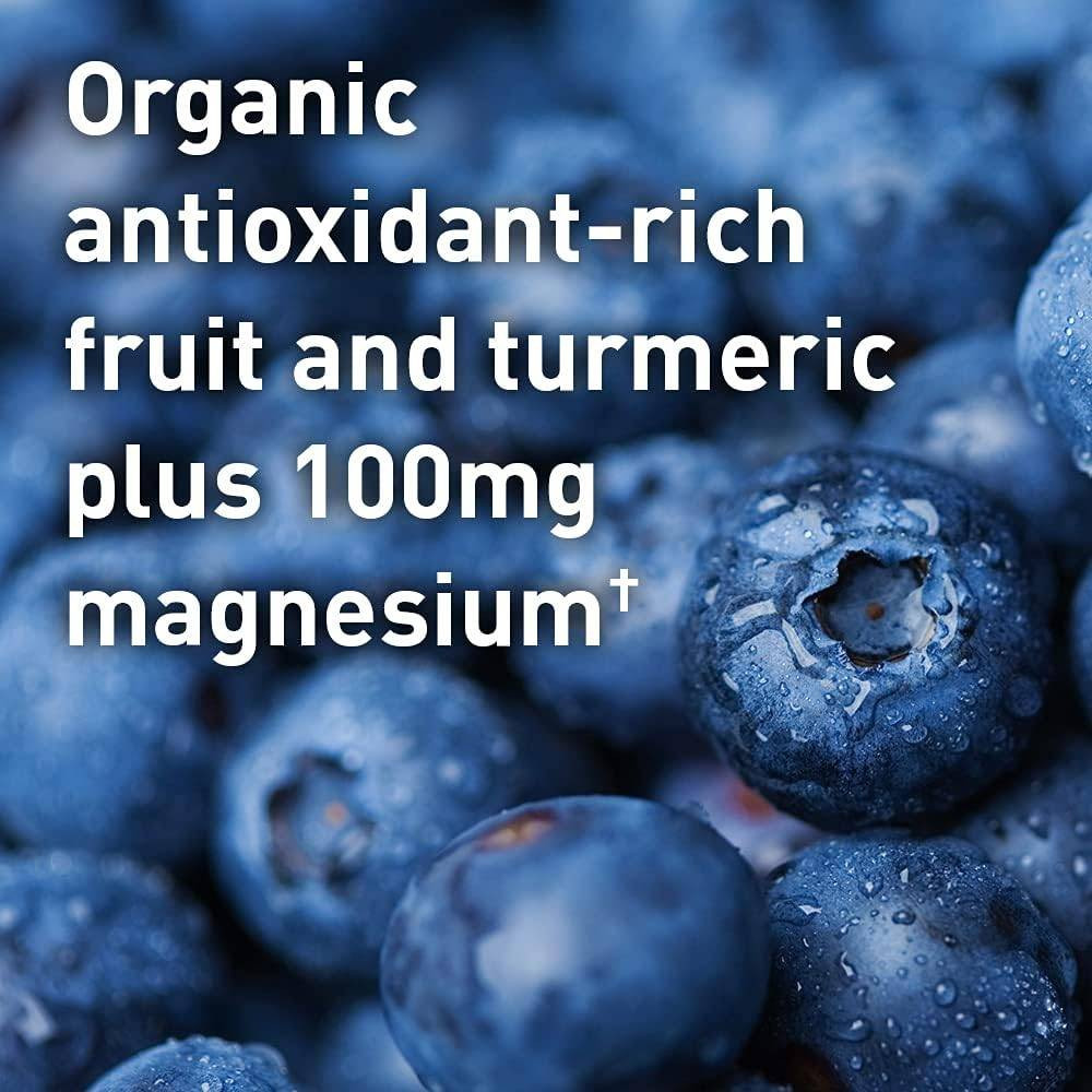 Garden of Life SPORT Organic Post-Workout Recovery Blackberry Lemonade - 446 Grams