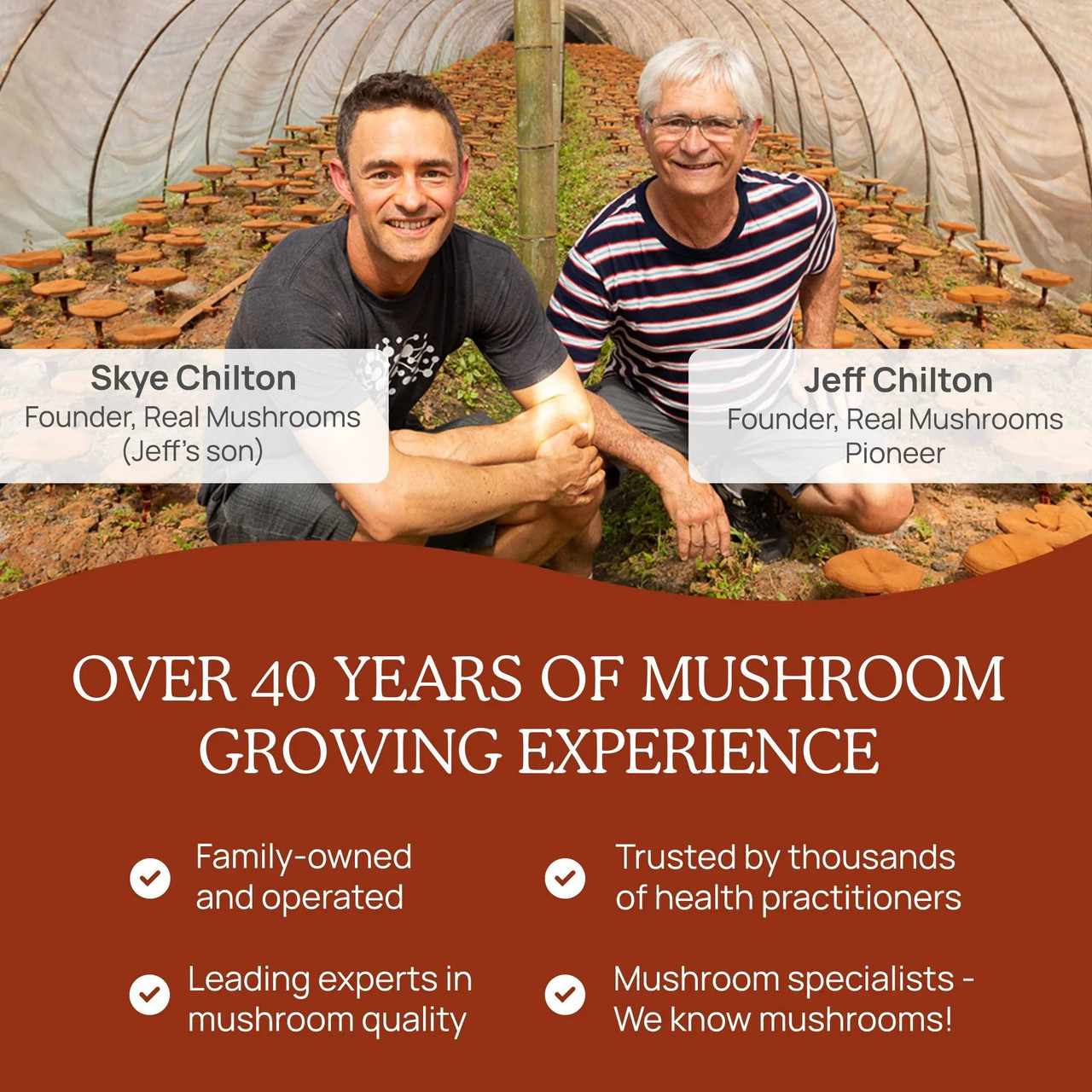 Real Mushrooms Reishi Mushroom Extract Powder - 45 Grams