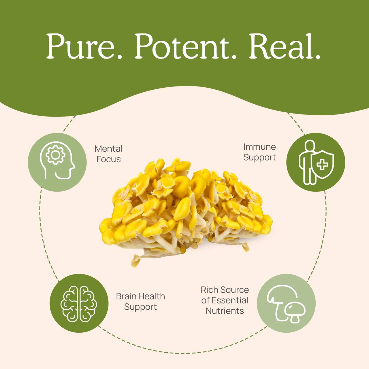 Real Mushrooms Ergo+ L-Ergothioneine Capsules - 60 Capsules