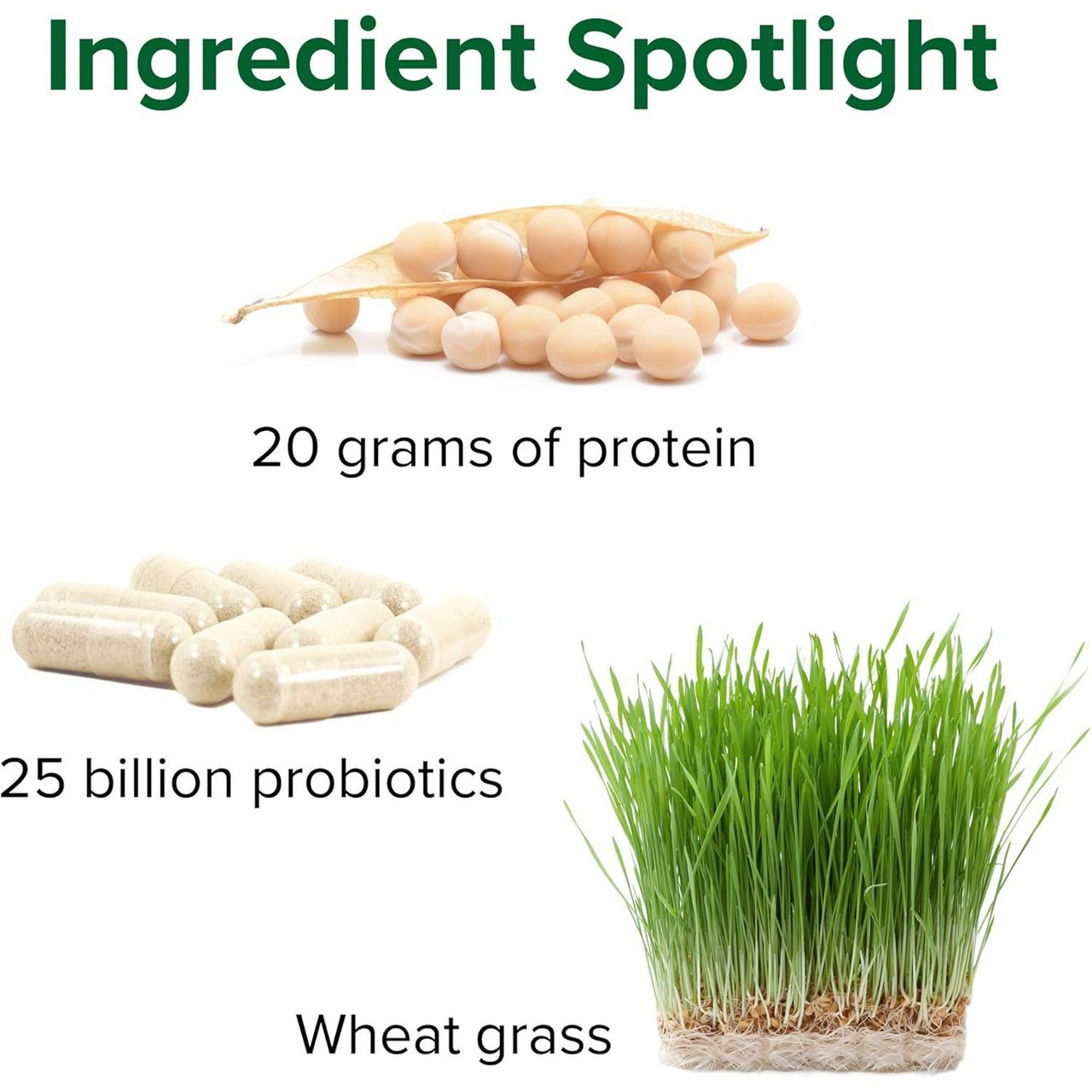 Ingredient spotlight 20 g protein 25 billion probiotics and wheatgrass graphic