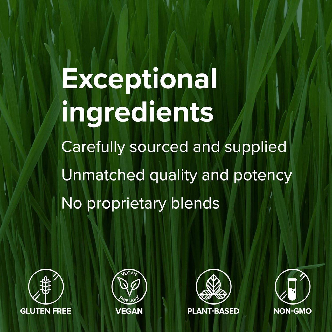 Exceptional ingredients carefully sourced unmatched quality no proprietary blends graphic