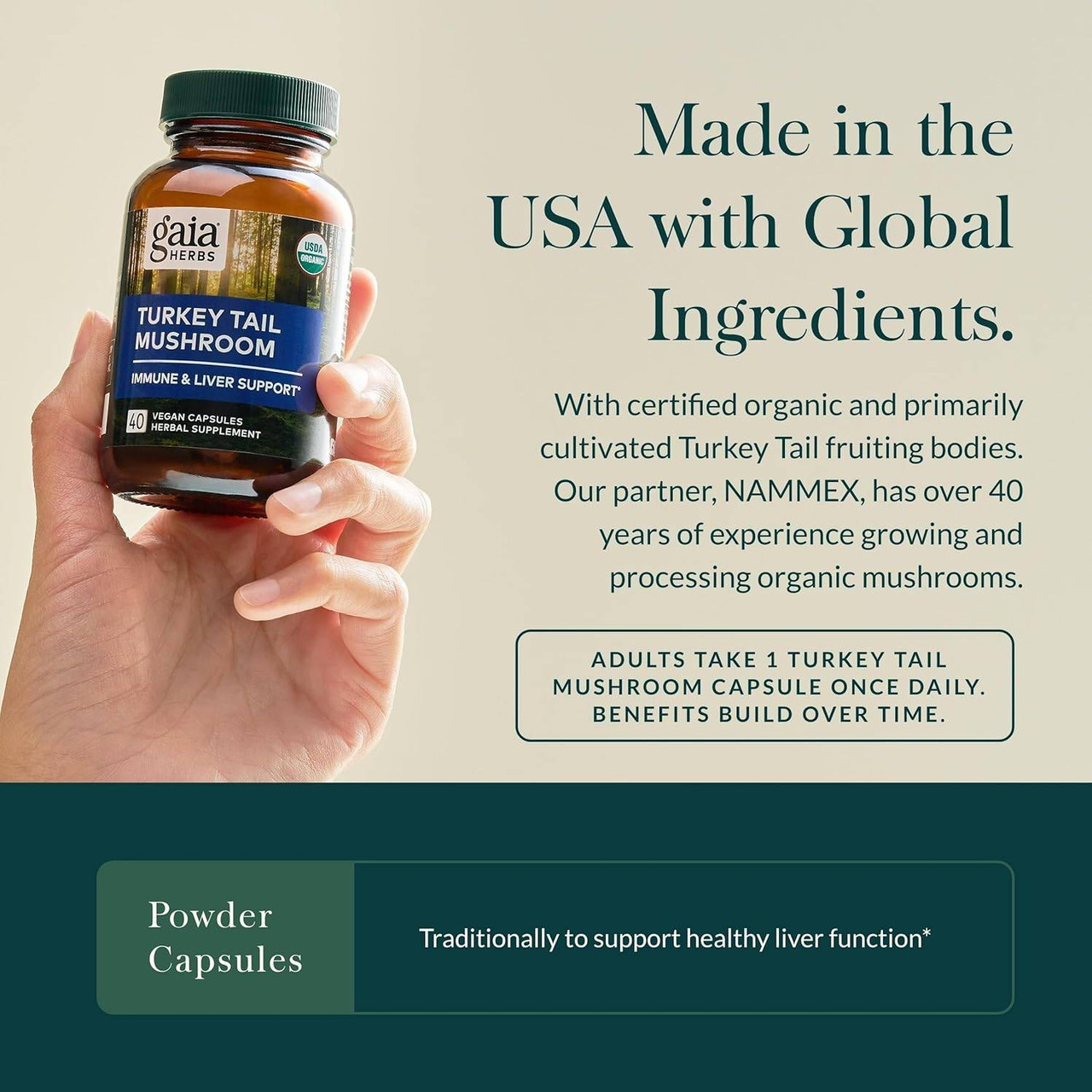 Hand holding Turkey Tail Mushroom bottle, made in the USA with global ingredients graphic
