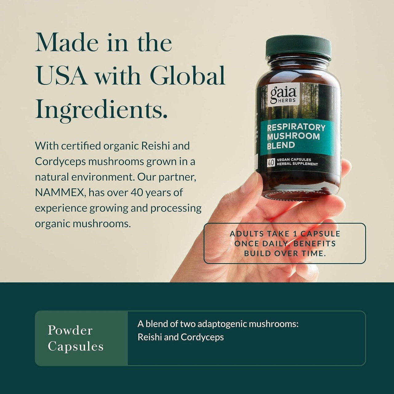 Gaia Herbs Respiratory Mushroom Blend Capsules - 40 Capsules