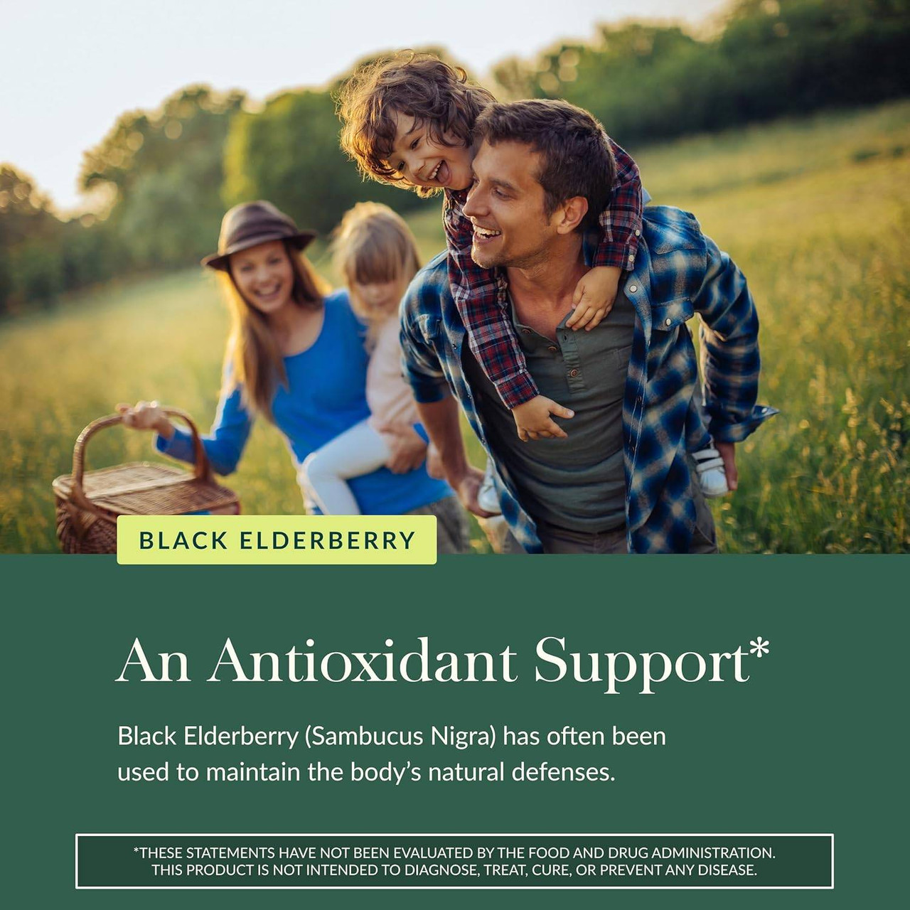 Family outdoors, Black Elderberry antioxidant support for natural defenses graphic