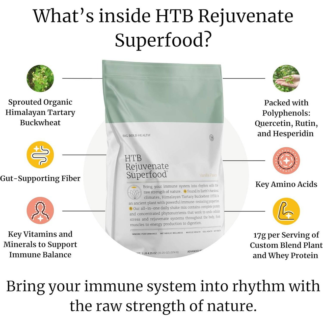 Big Bold Health HTB Rejuvenate Superfood - 658 Grams