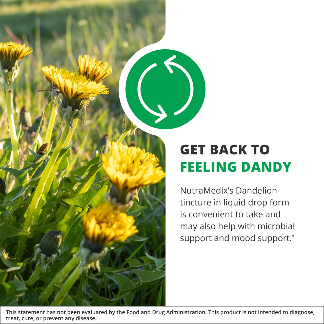 NutraMedix Dandelion - 60 Milliliters