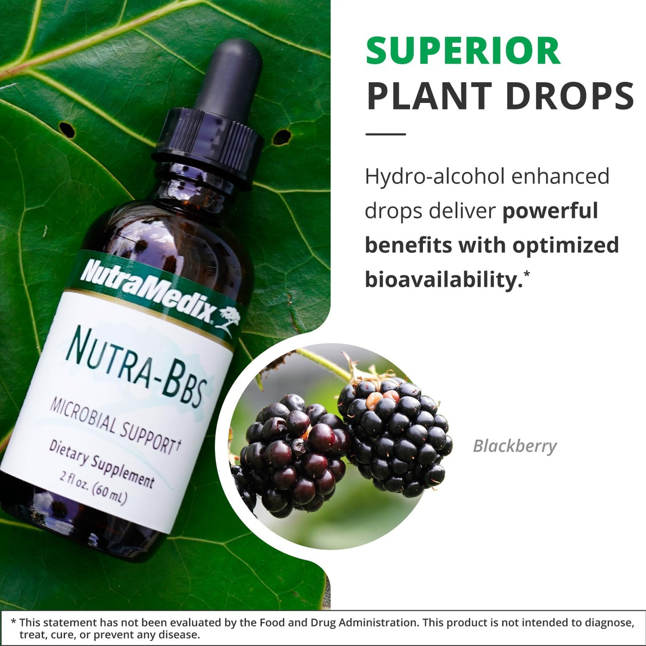 NutraMedix NUTRA-BBS - 60 Milliliters