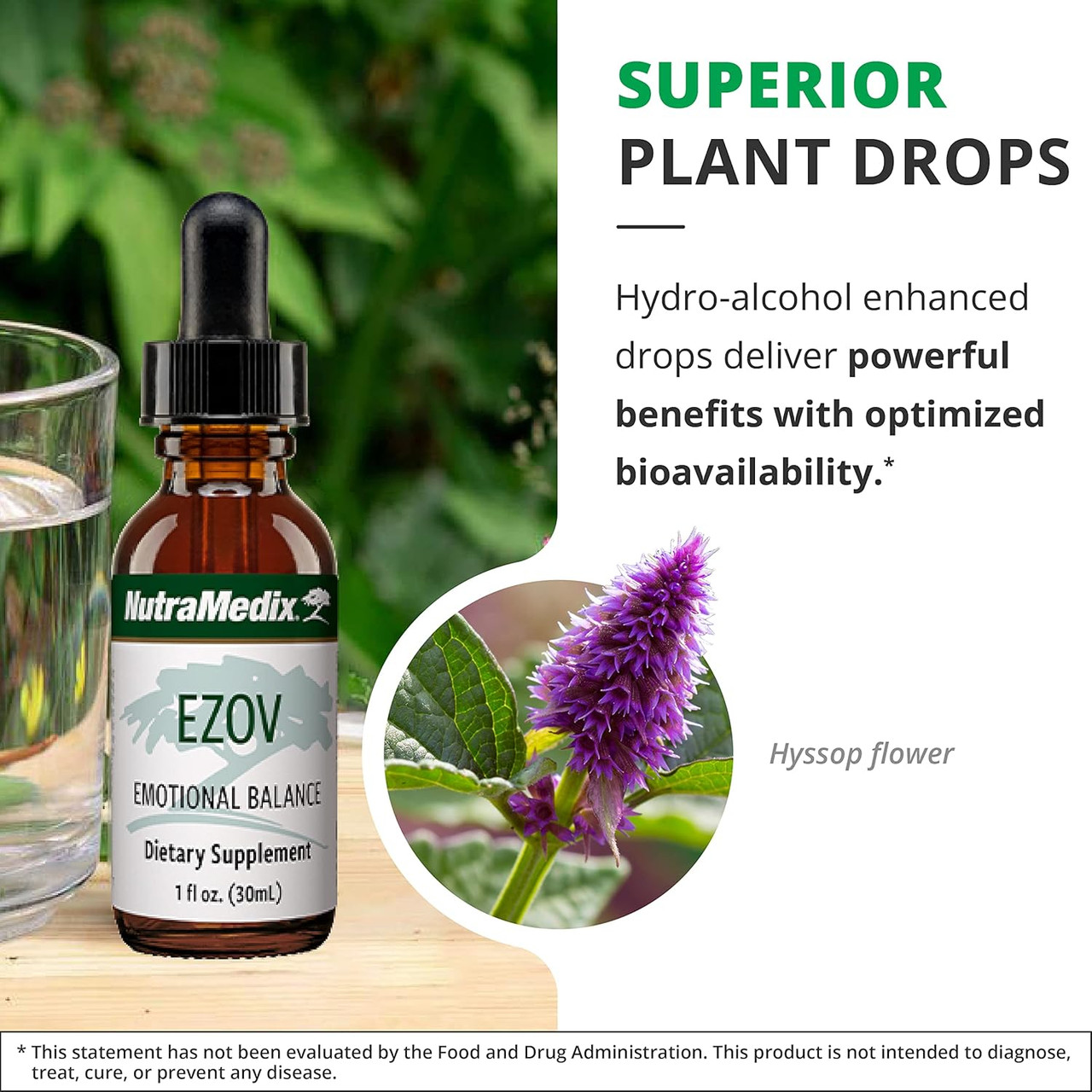 NutraMedix EZOV Emotional Balance - 30 Milliliters