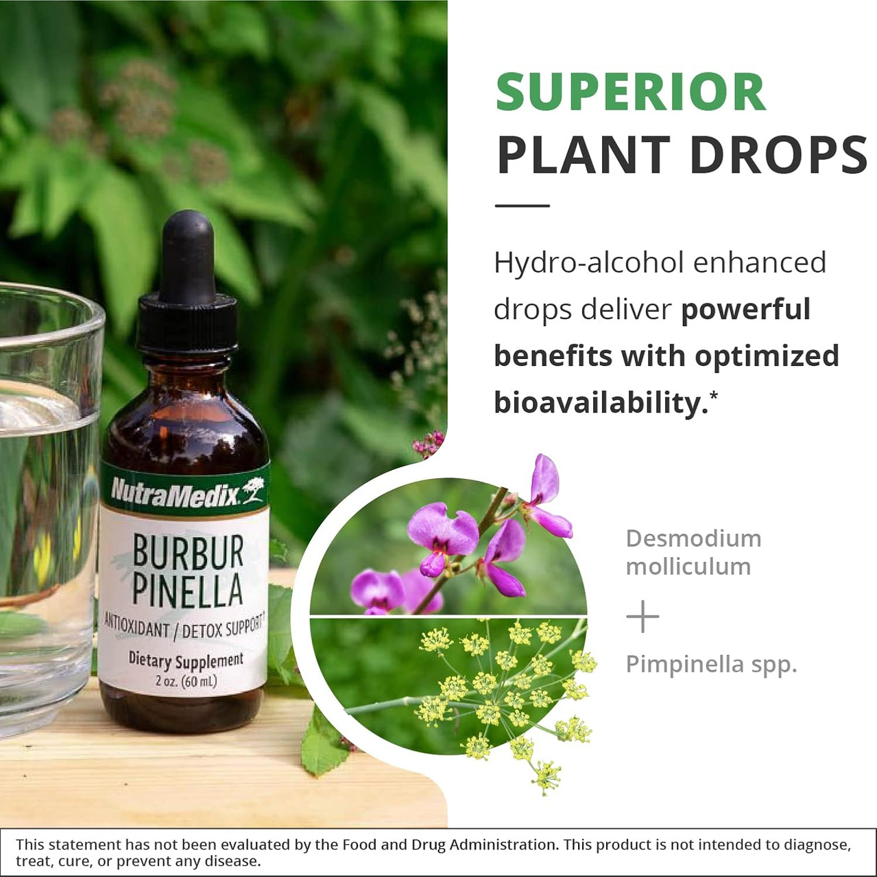 Burbur-Pinella bottle with desmodium and pimpinella plants, superior plant drops graphic