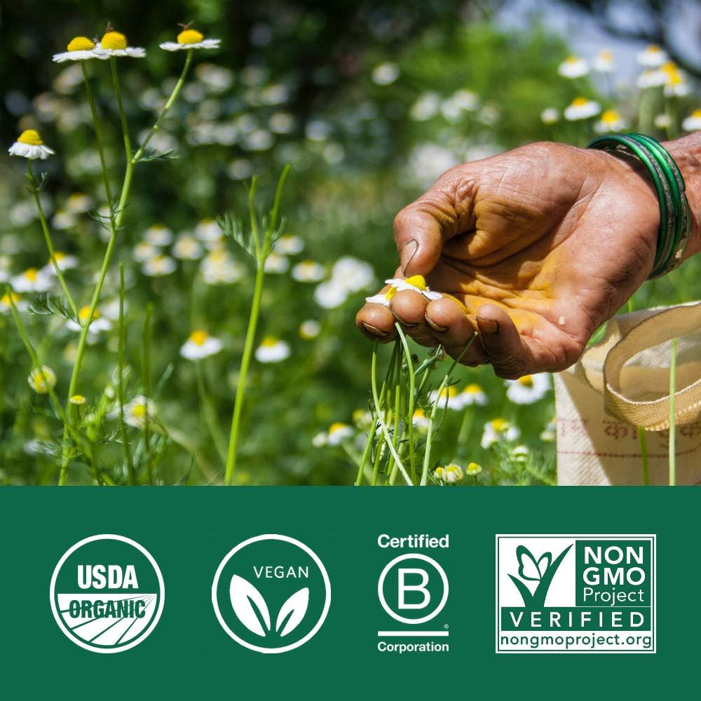 Organic India Sugar Balance - 90 Capsules