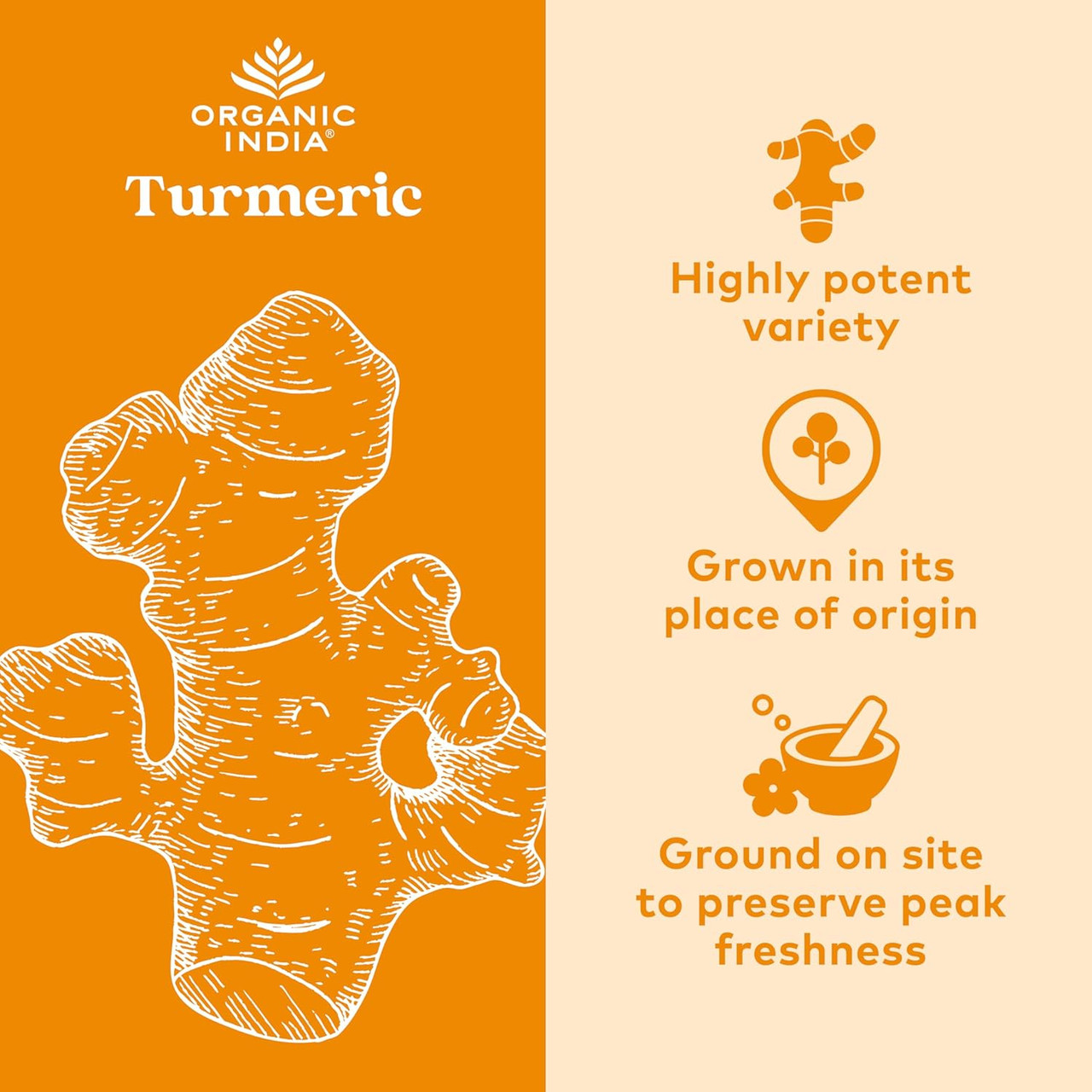 Organic India Turmeric Formula