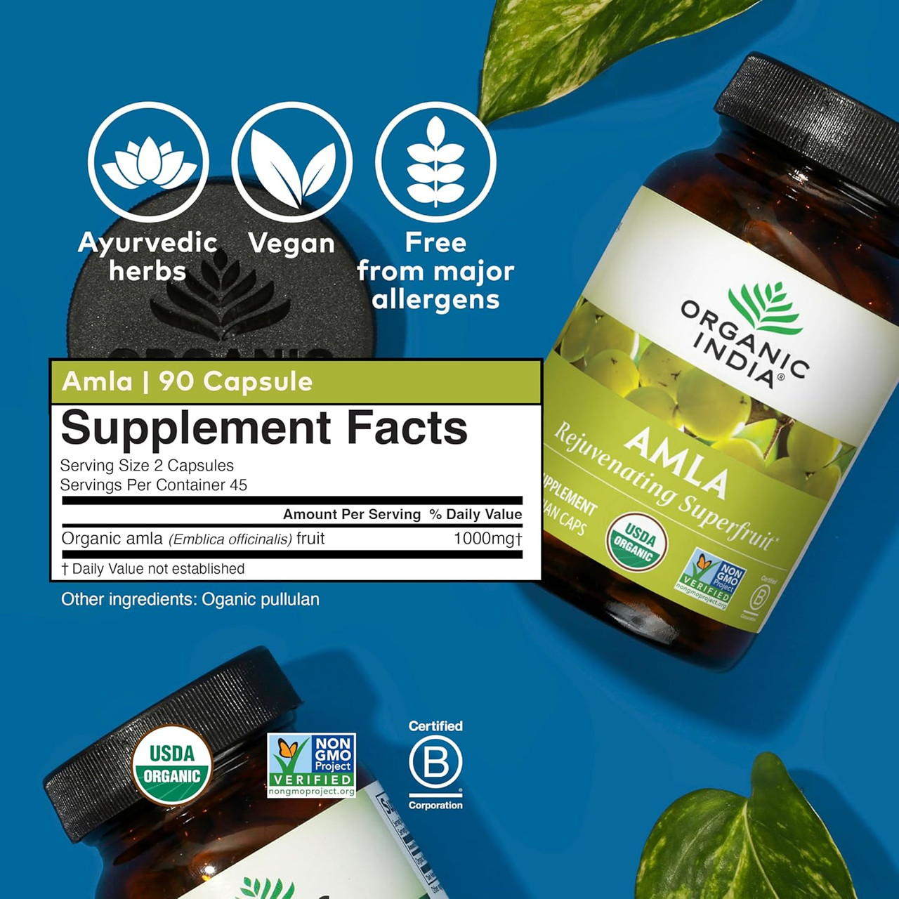 Organic India Amla - 90 Capsules