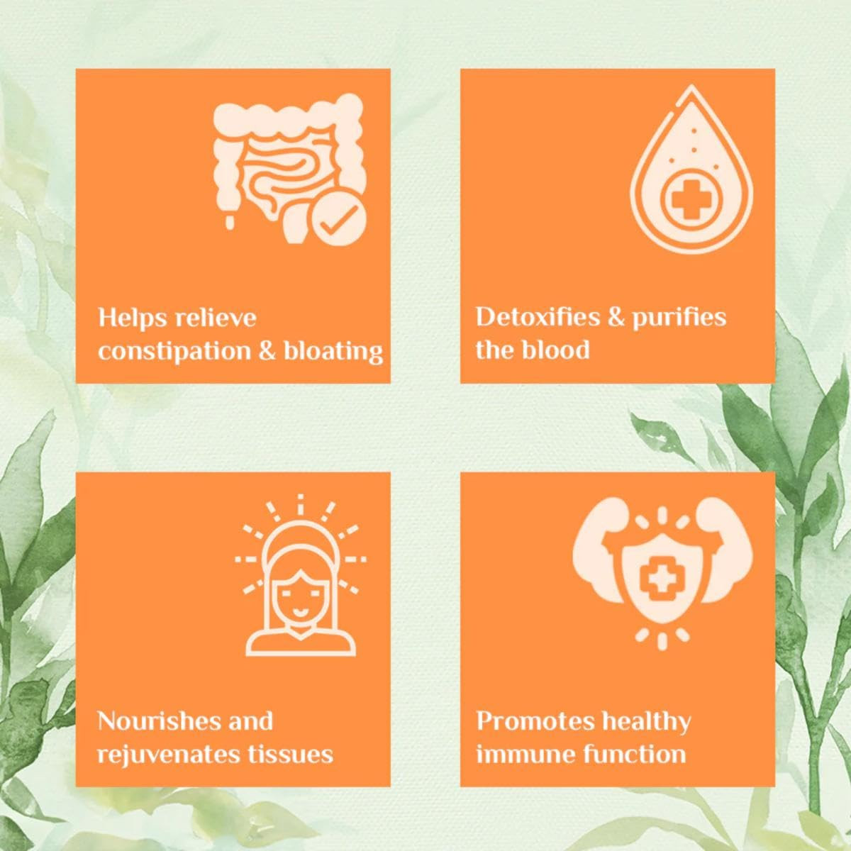 Organic India Triphala